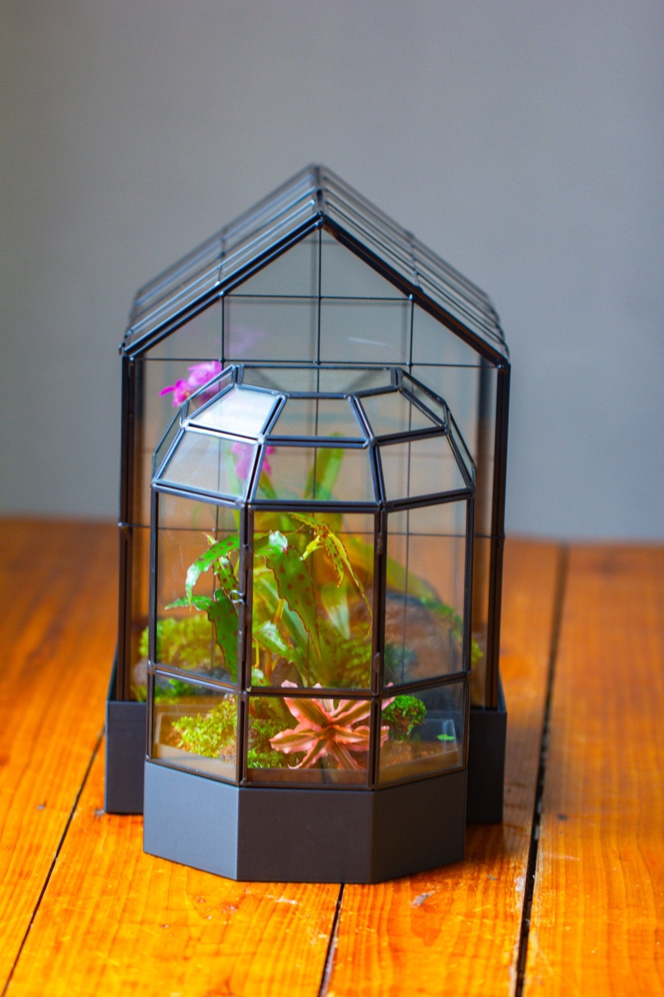 11” Vintage Greenhouse Glass Terrarium with Water - Holding Tray and Top Door - NCYPgarden