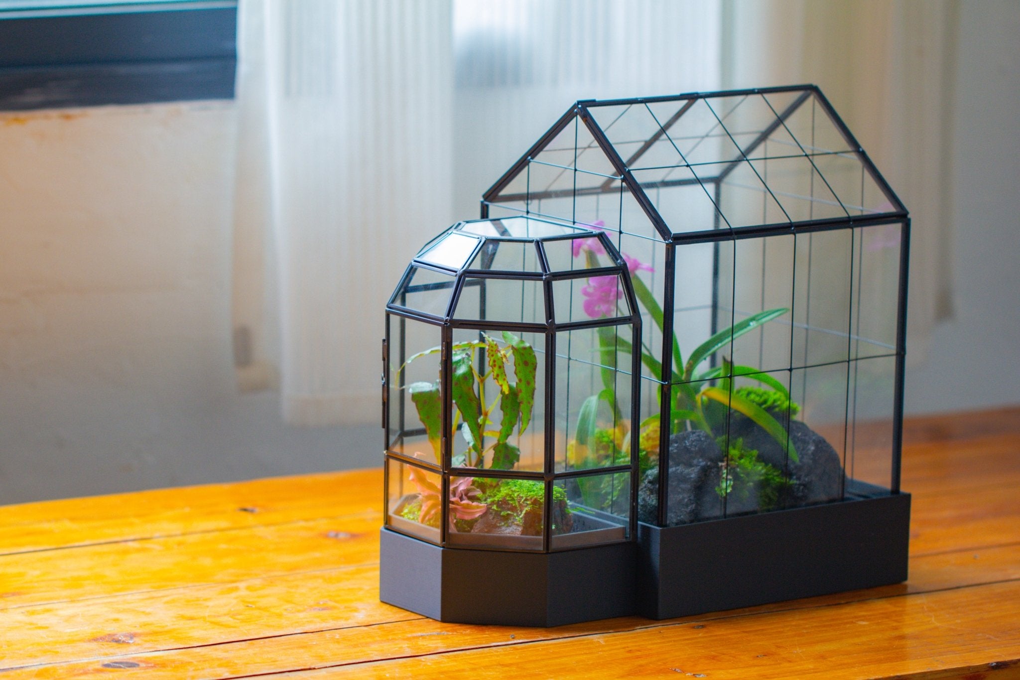 10" Tall Half Dome Glass Terrarium with Water - Holding Base and Door - NCYPgarden