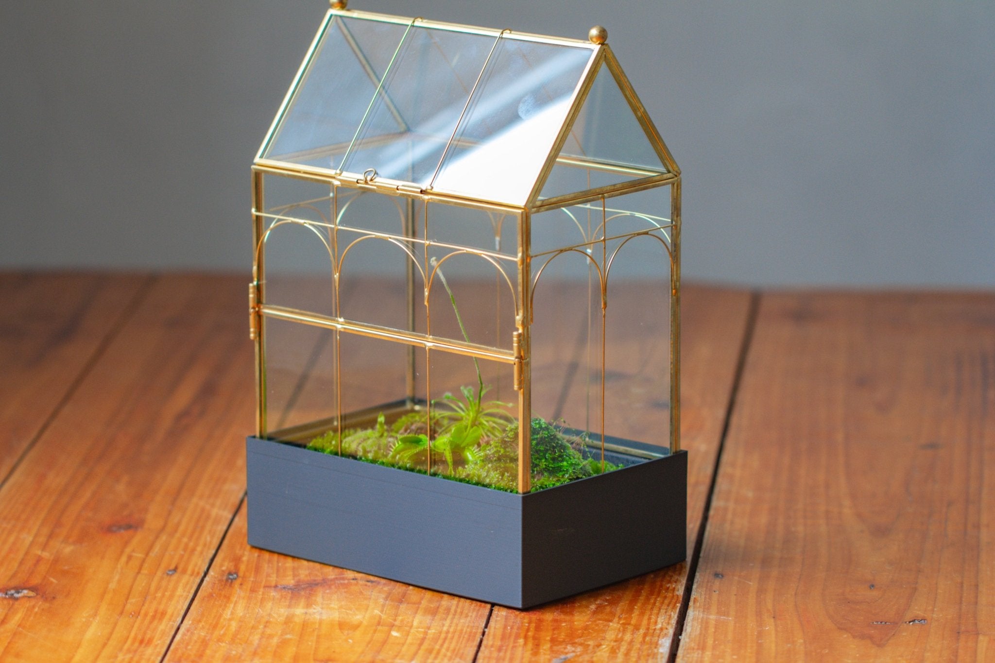 11” Gold Victorian Greenhouse Glass Terrarium with Water - Holding Base and Side Door - NCYPgarden