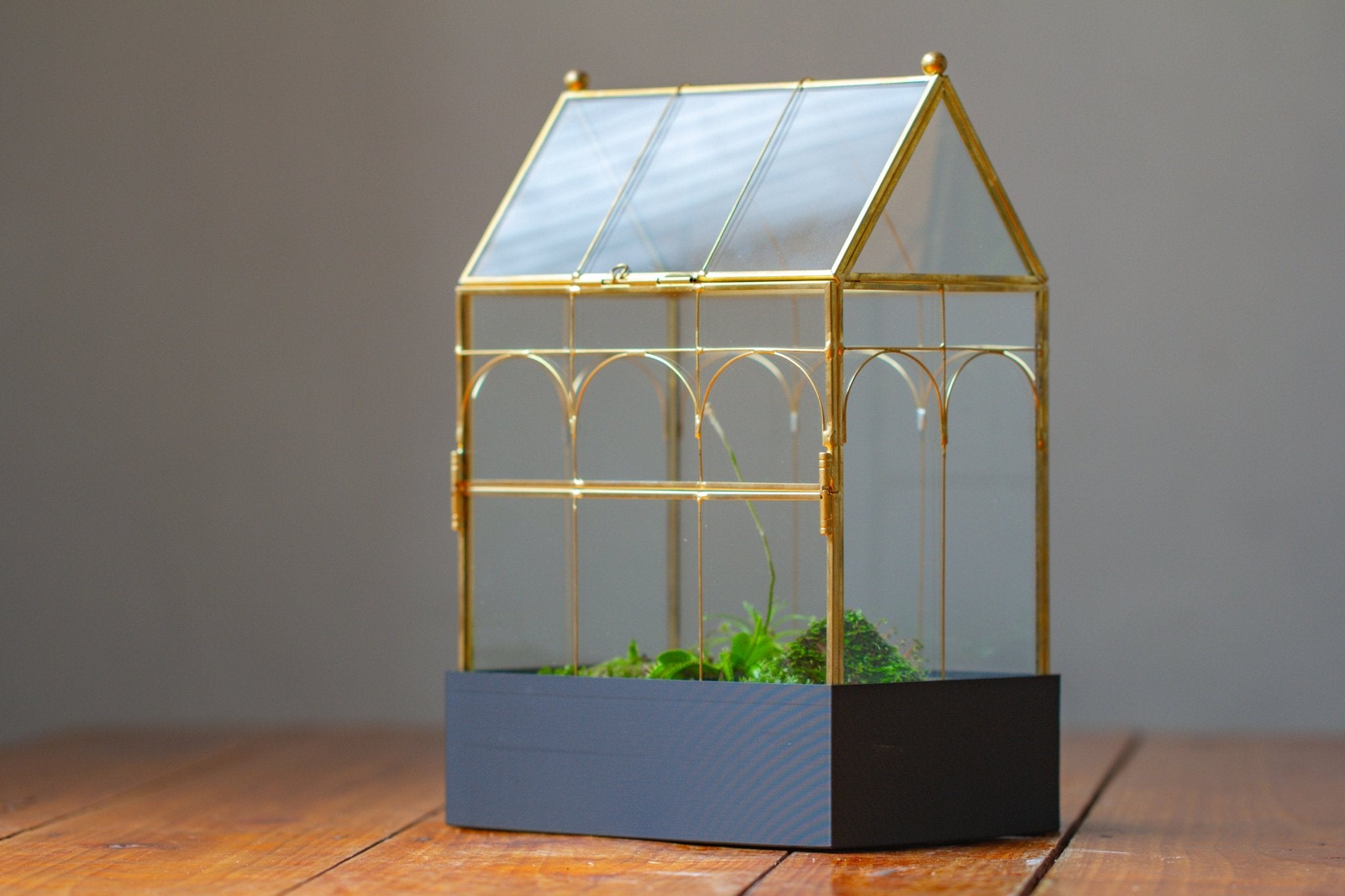11” Gold Victorian Greenhouse Glass Terrarium with Water - Holding Base and Side Door - NCYPgarden