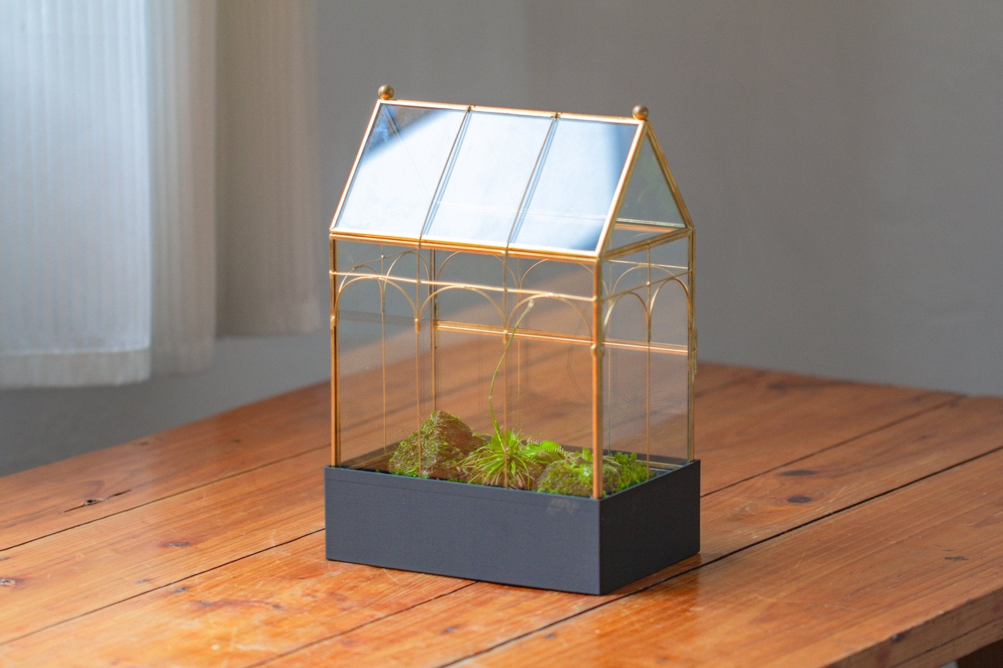 11” Gold Victorian Greenhouse Glass Terrarium with Water - Holding Base and Side Door - NCYPgarden