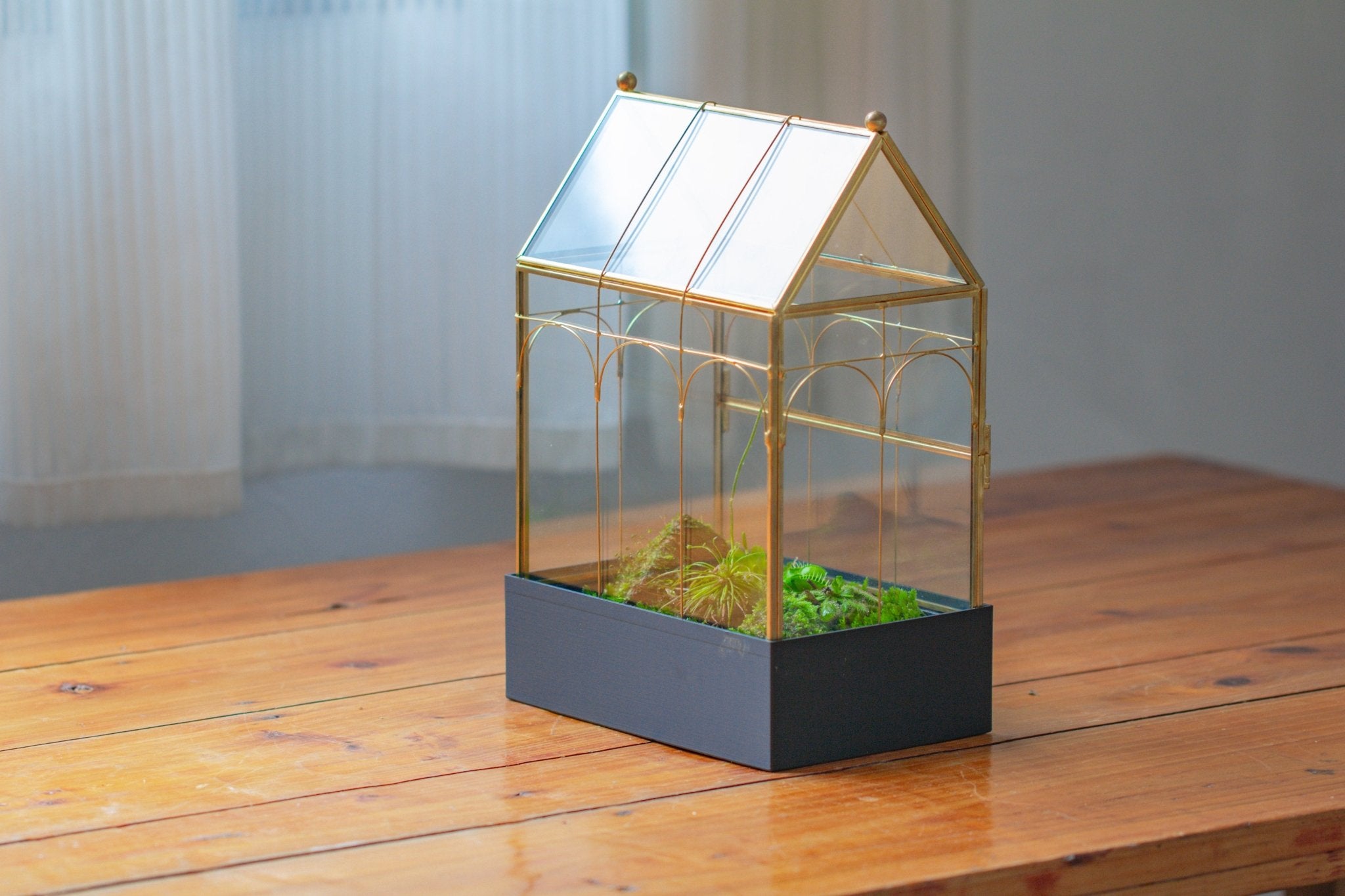 11” Gold Victorian Greenhouse Glass Terrarium with Water - Holding Base and Side Door - NCYPgarden