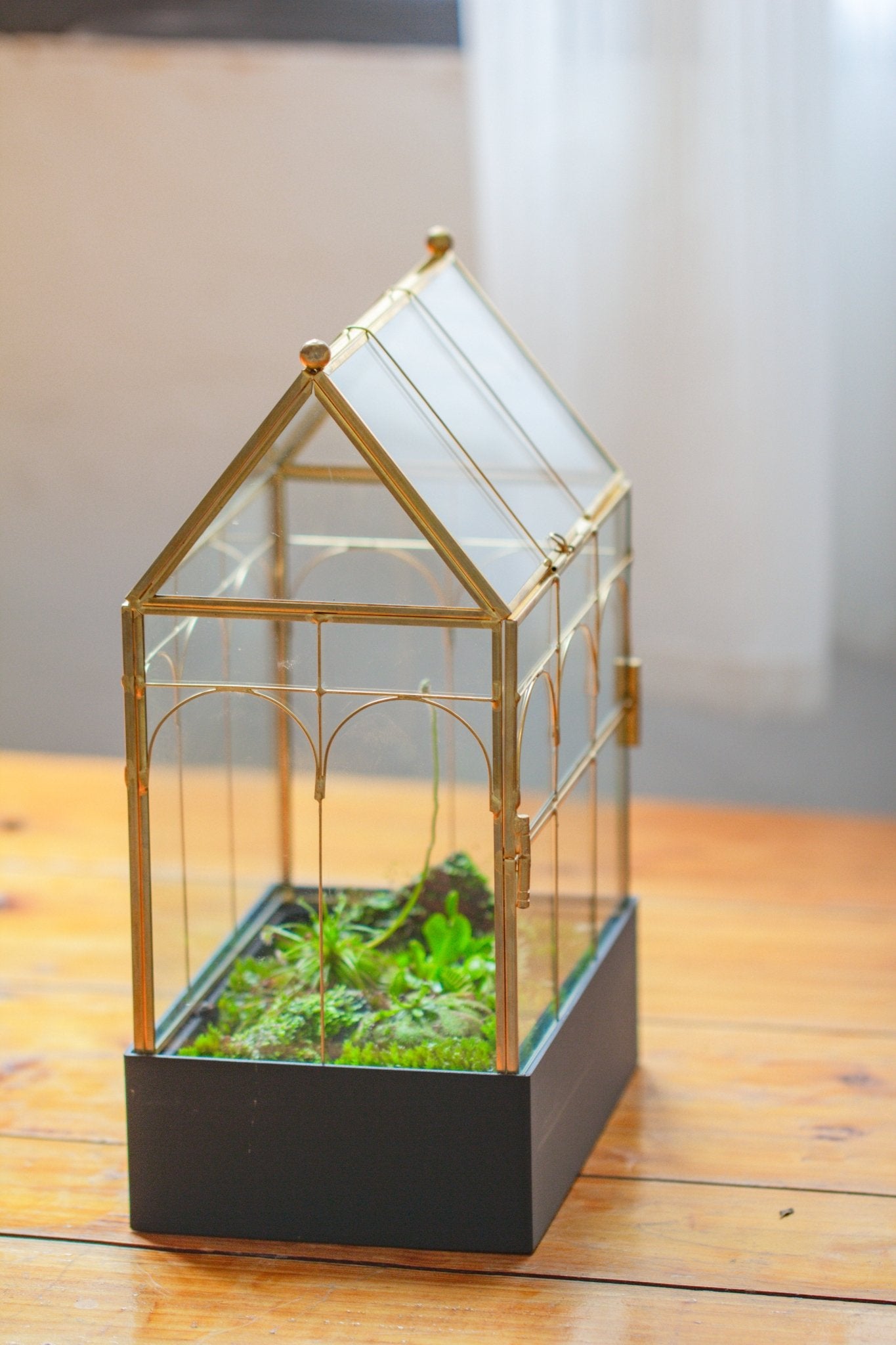 11” Gold Victorian Greenhouse Glass Terrarium with Water - Holding Base and Side Door - NCYPgarden