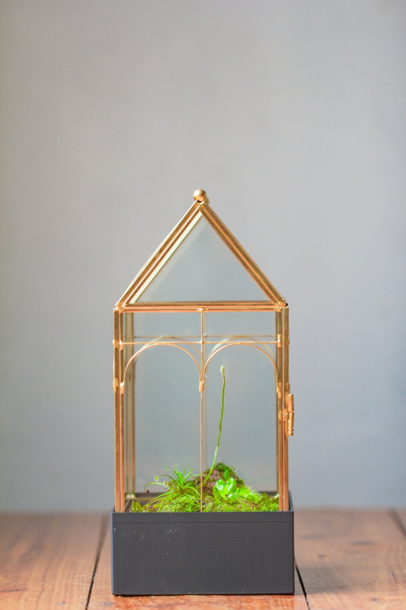 11” Gold Victorian Greenhouse Glass Terrarium with Water - Holding Base and Side Door - NCYPgarden