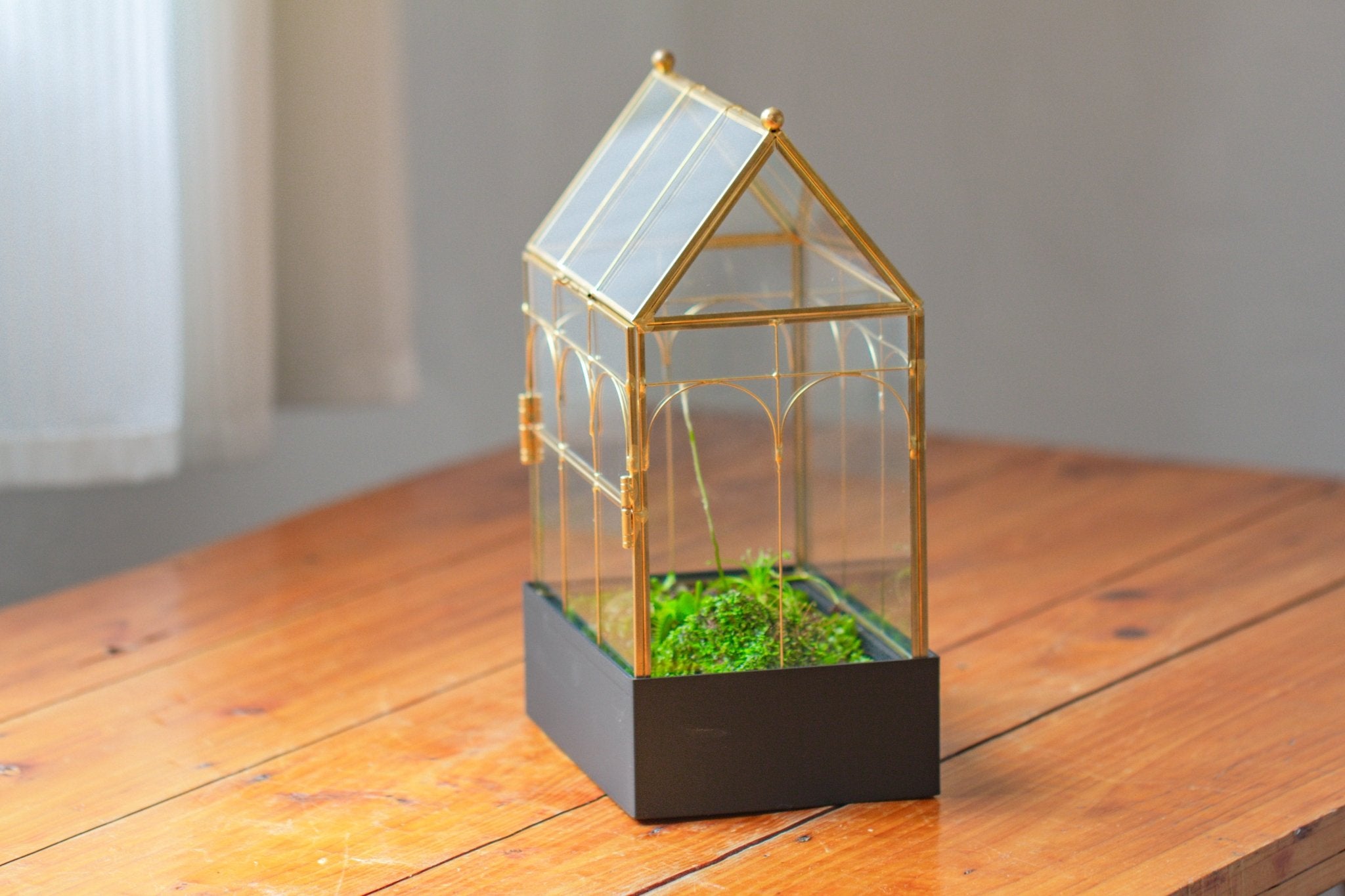 11” Gold Victorian Greenhouse Glass Terrarium with Water - Holding Base and Side Door - NCYPgarden