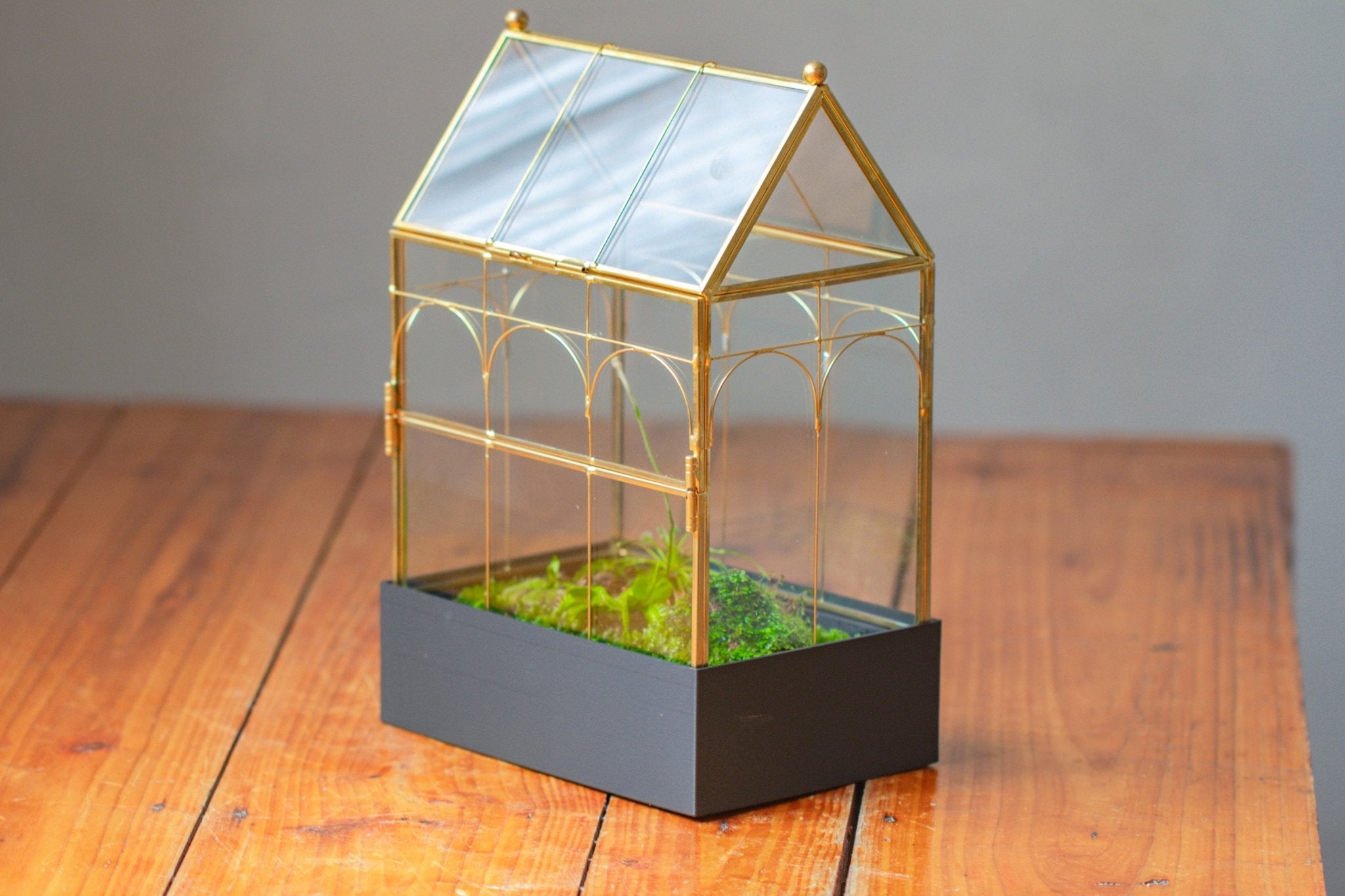 11” Gold Victorian Greenhouse Glass Terrarium with Water - Holding Base and Side Door - NCYPgarden