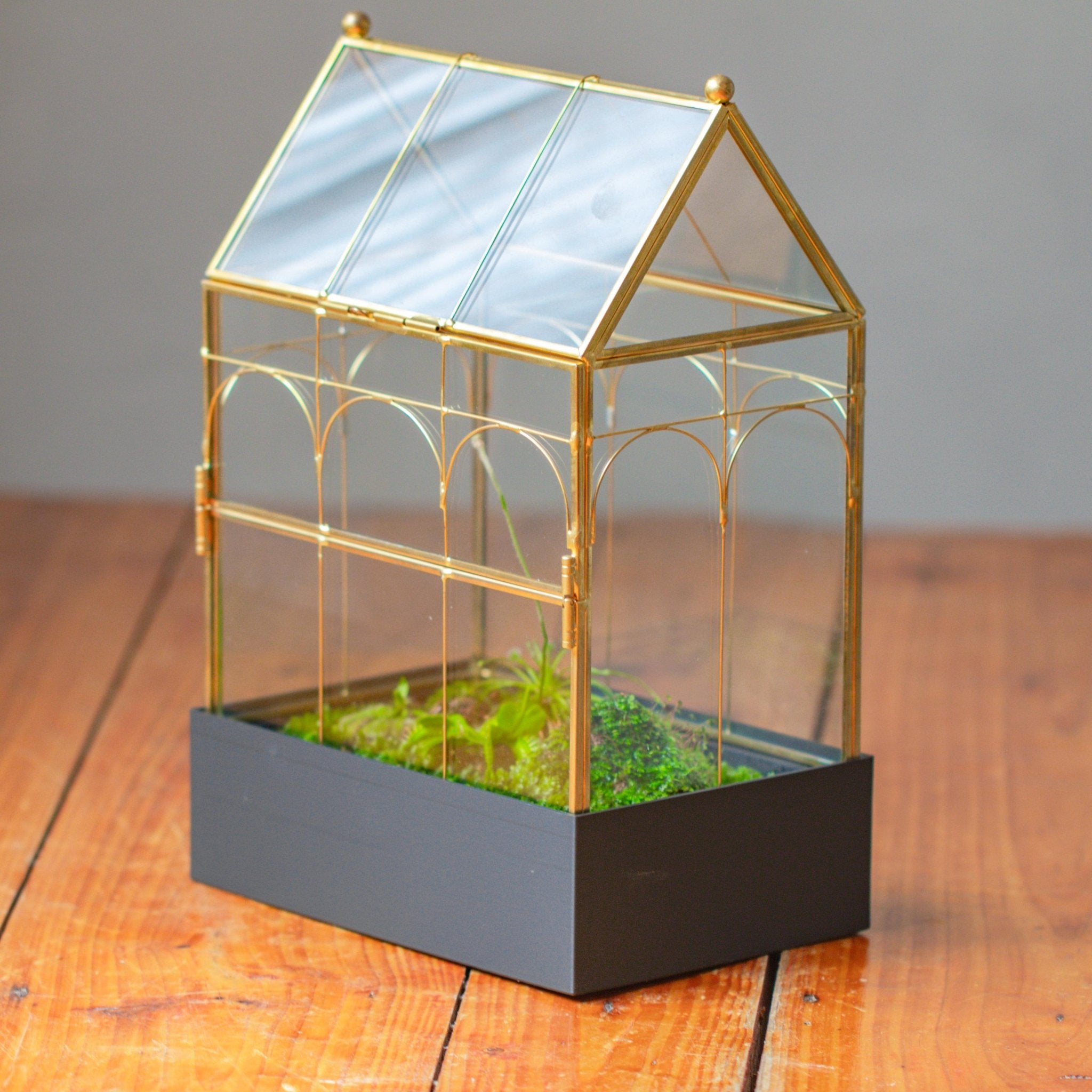 11” Gold Victorian Greenhouse Glass Terrarium with Water - Holding Base and Side Door - NCYPgarden