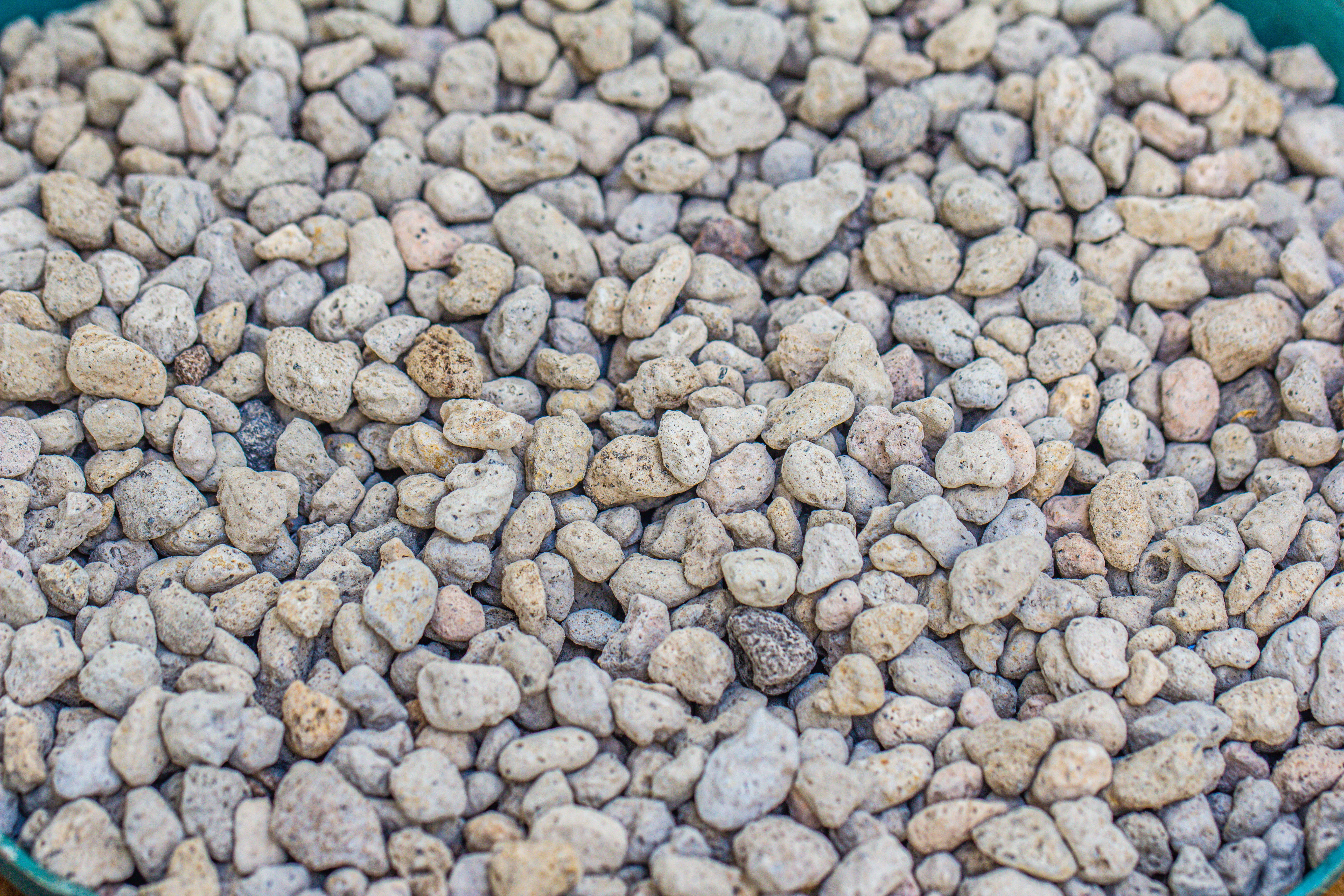 Grey White Horticultural Lava Rock Volcanic Rock - NCYPgarden