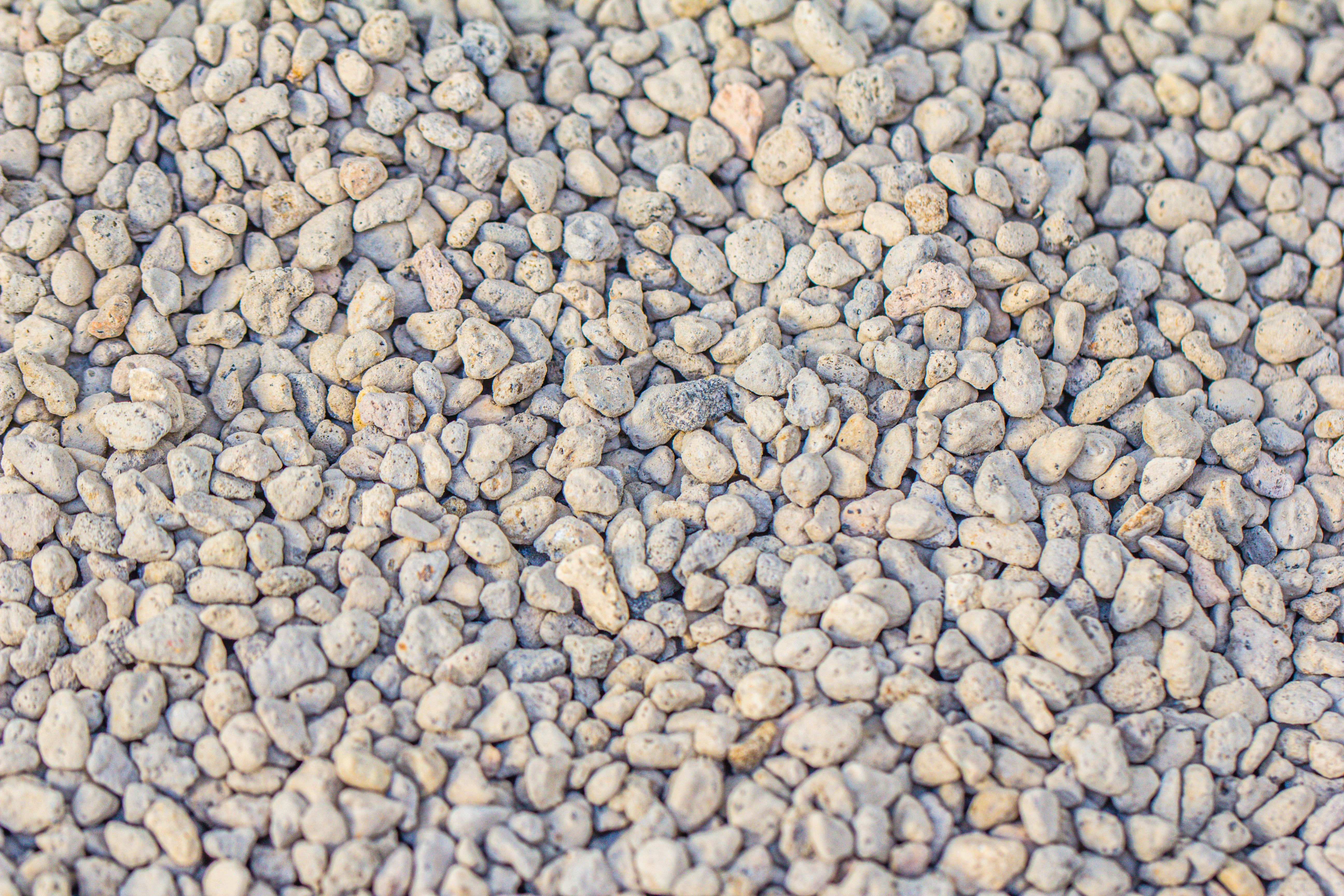 Grey White Horticultural Lava Rock Volcanic Rock - NCYPgarden