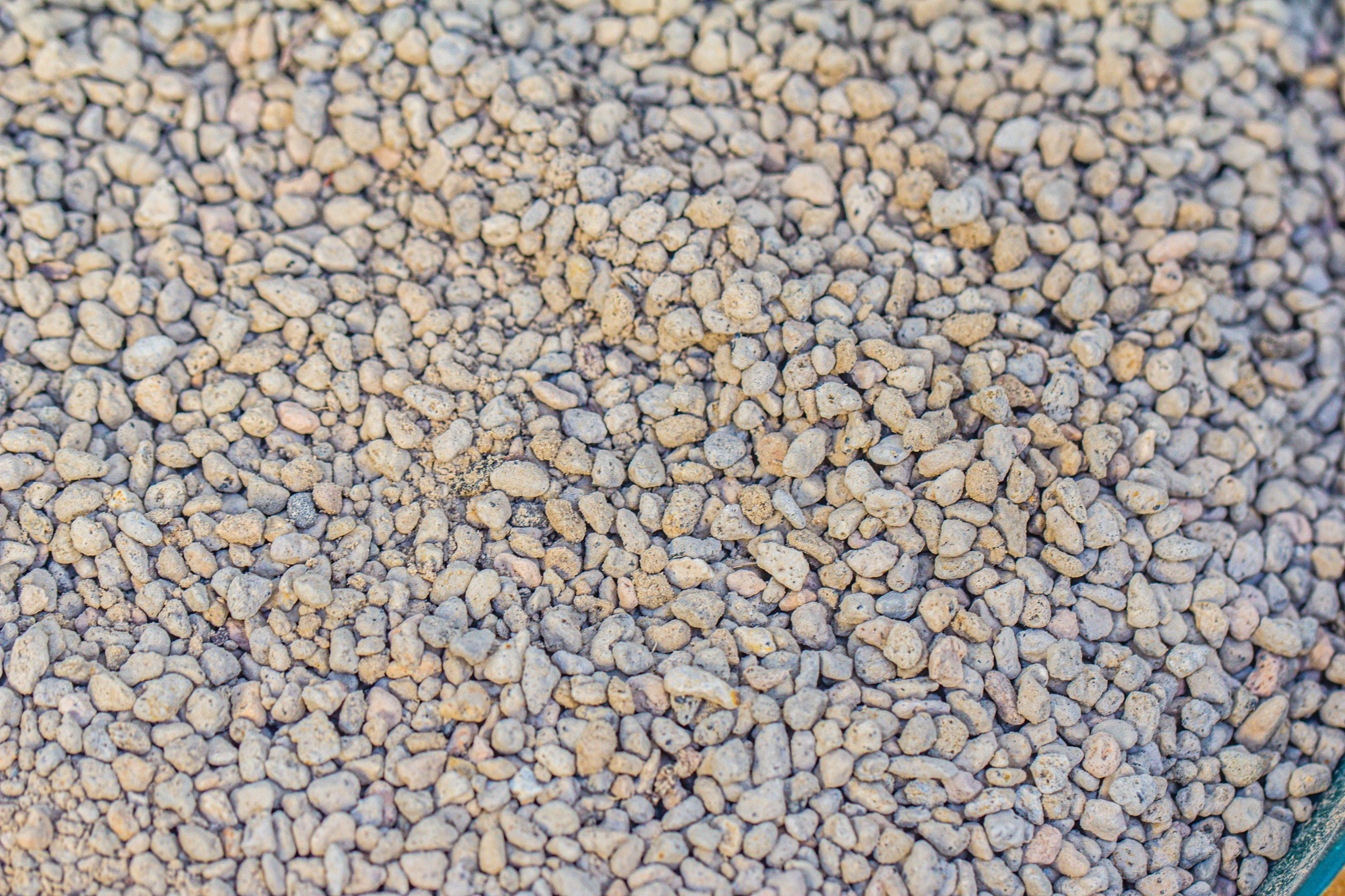 Grey White Horticultural Lava Rock Volcanic Rock - NCYPgarden