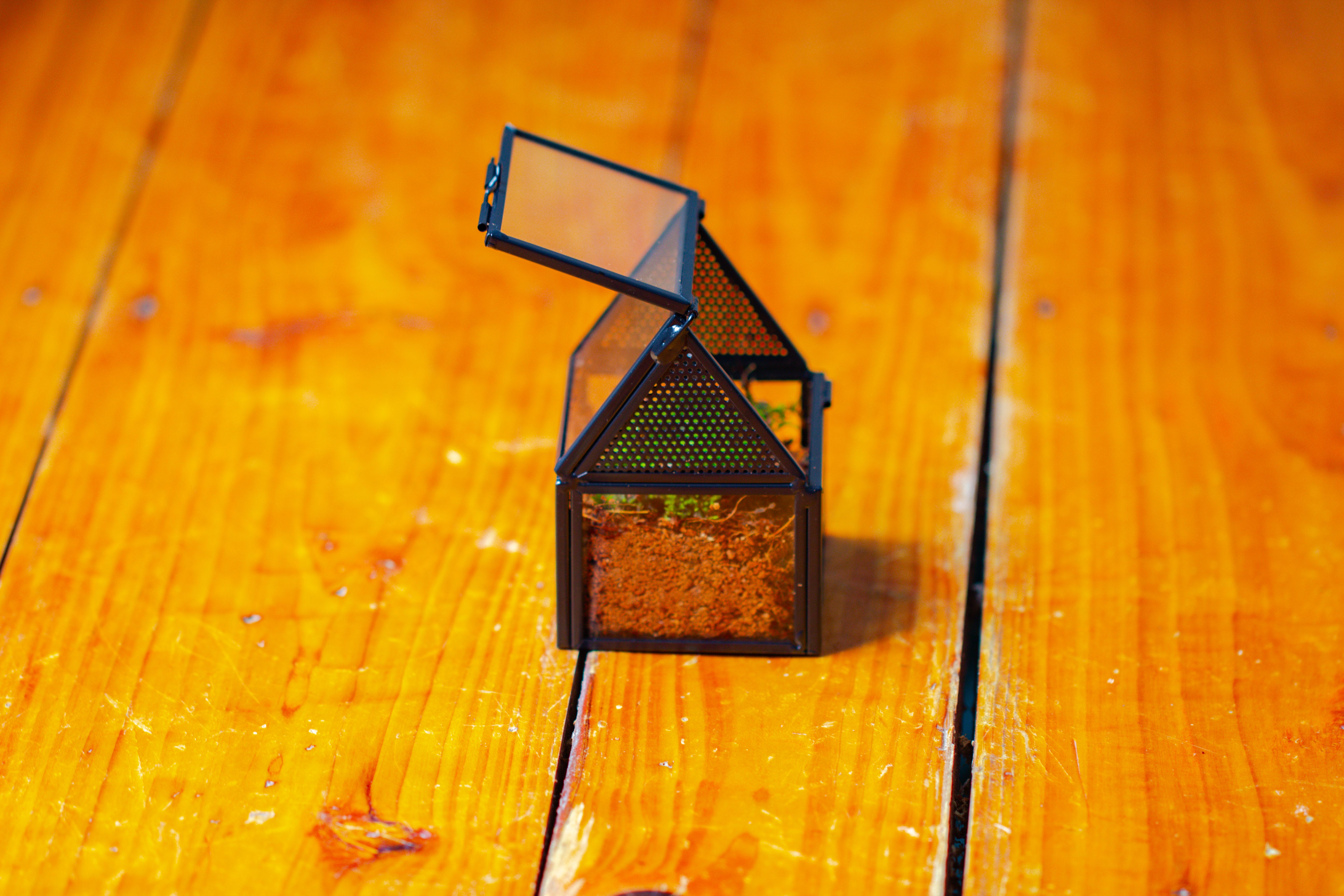 9 - NCYPgarden