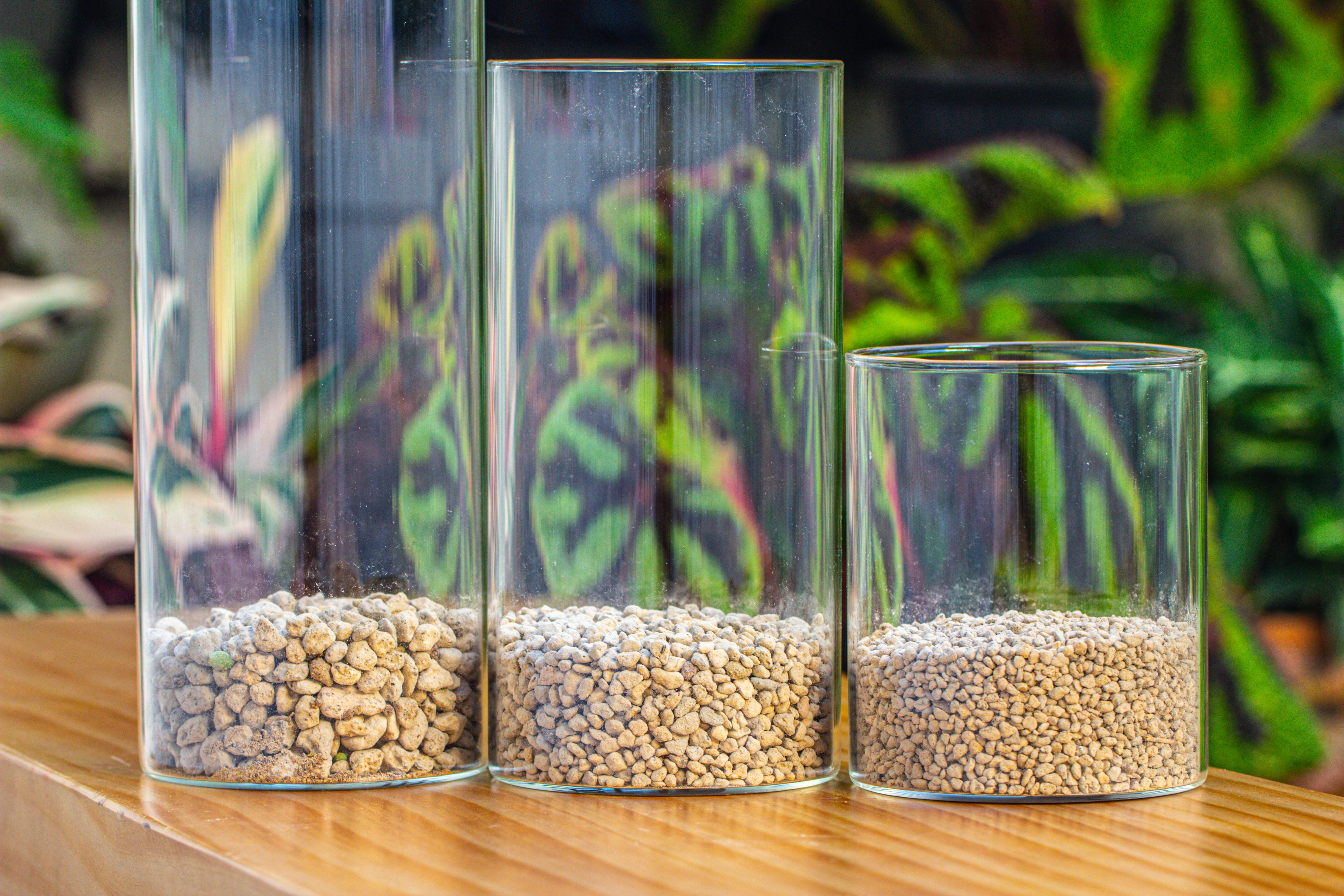 Grey White Horticultural Lava Rock Volcanic Rock - NCYPgarden