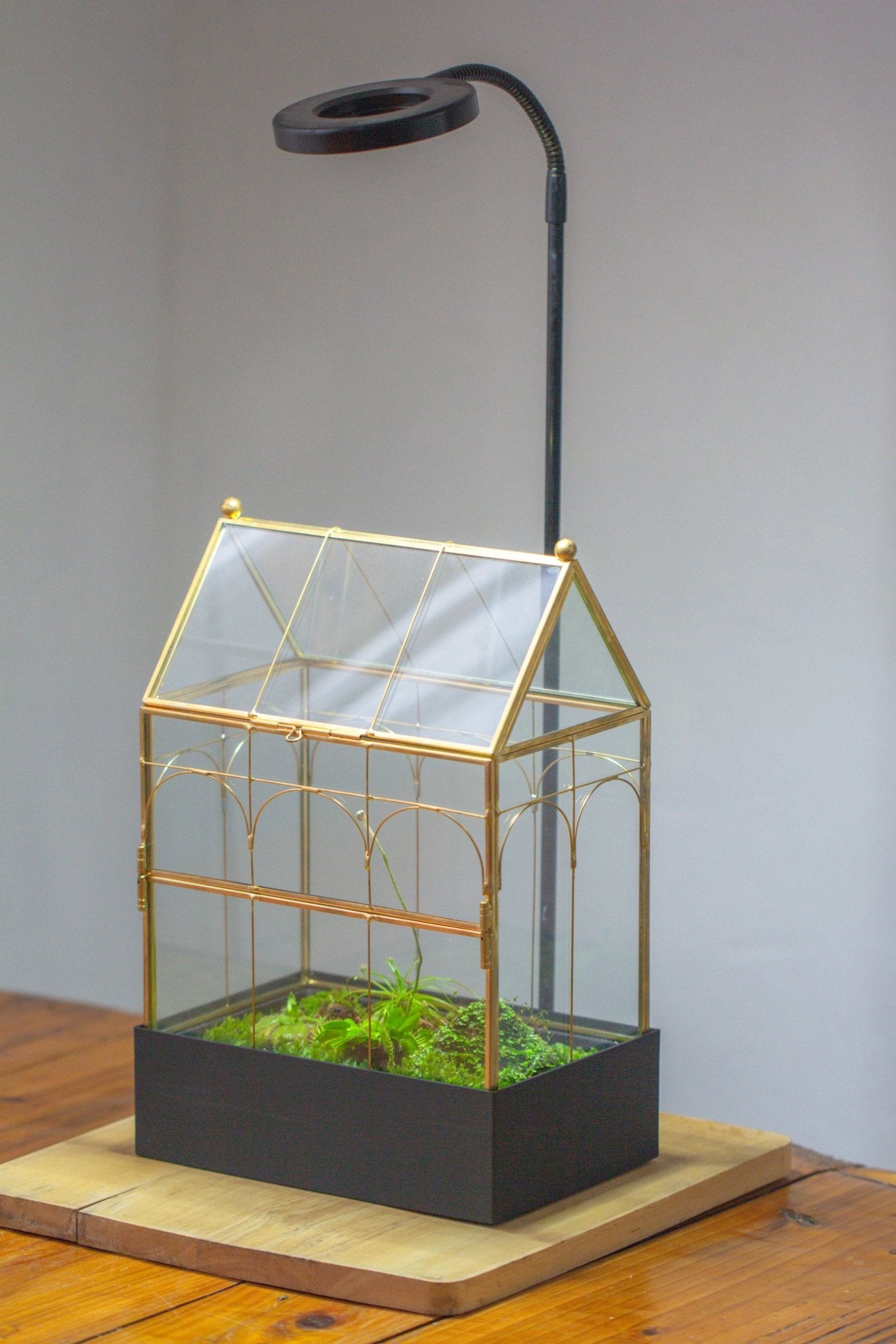 11” Gold Victorian Greenhouse Glass Terrarium with Water - Holding Base and Side Door - NCYPgarden