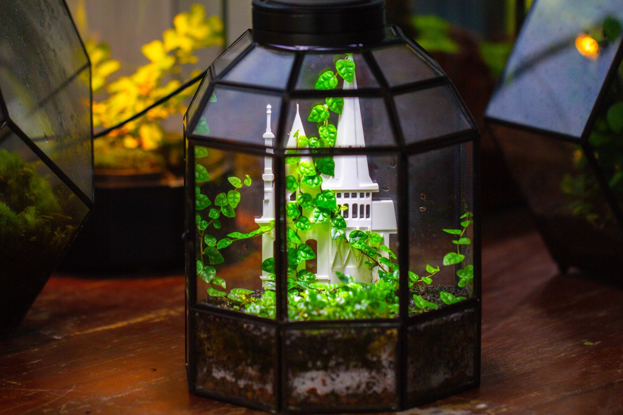 Half Dome Geometric Glass Terrarium, Close, Succulents Planter Pot Miniature Landscape Bonsai Container PD02B2 - NCYPgarden