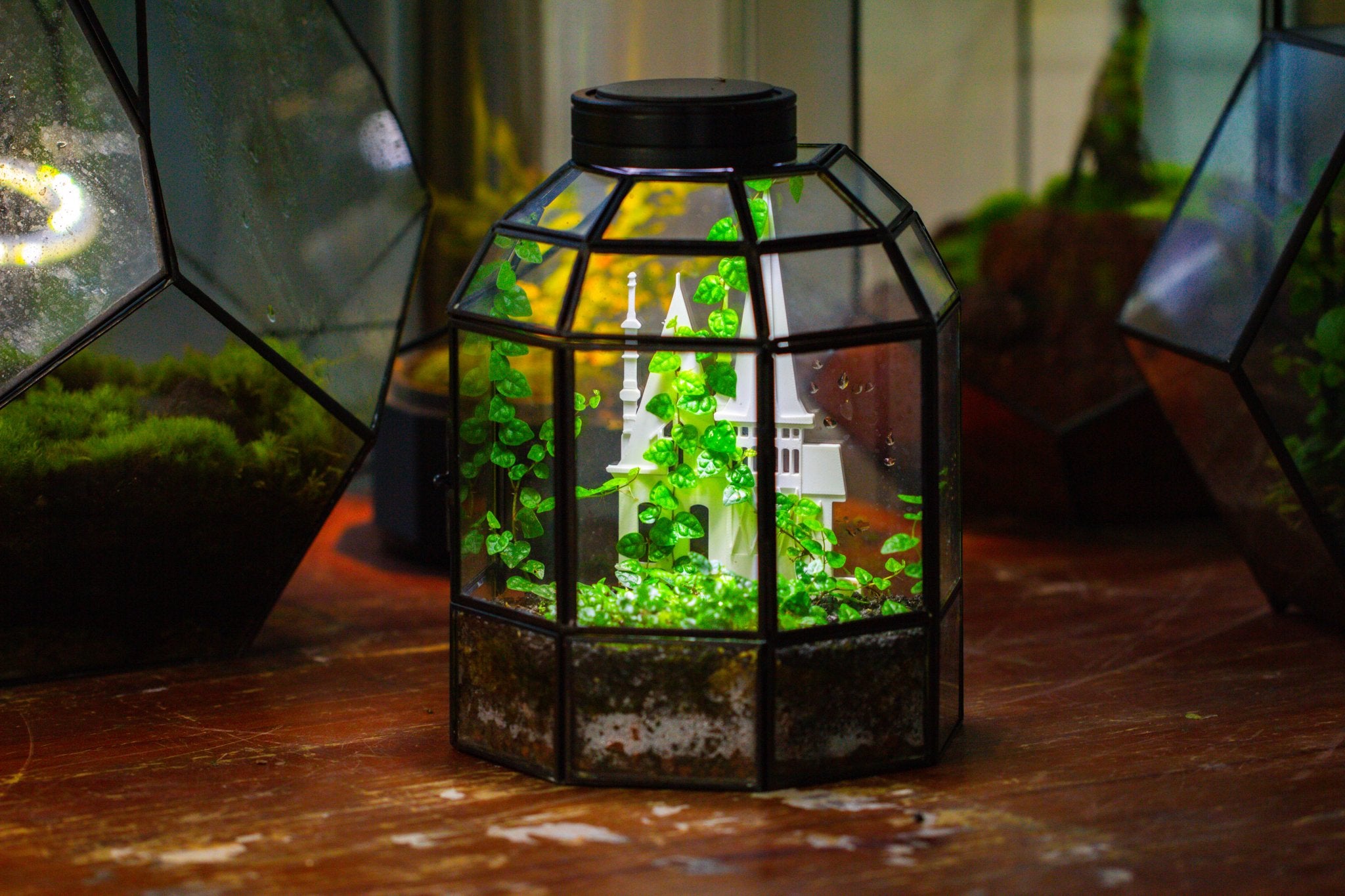 Half Dome Geometric Glass Terrarium, Close, Succulents Planter Pot Miniature Landscape Bonsai Container PD02B2 - NCYPgarden