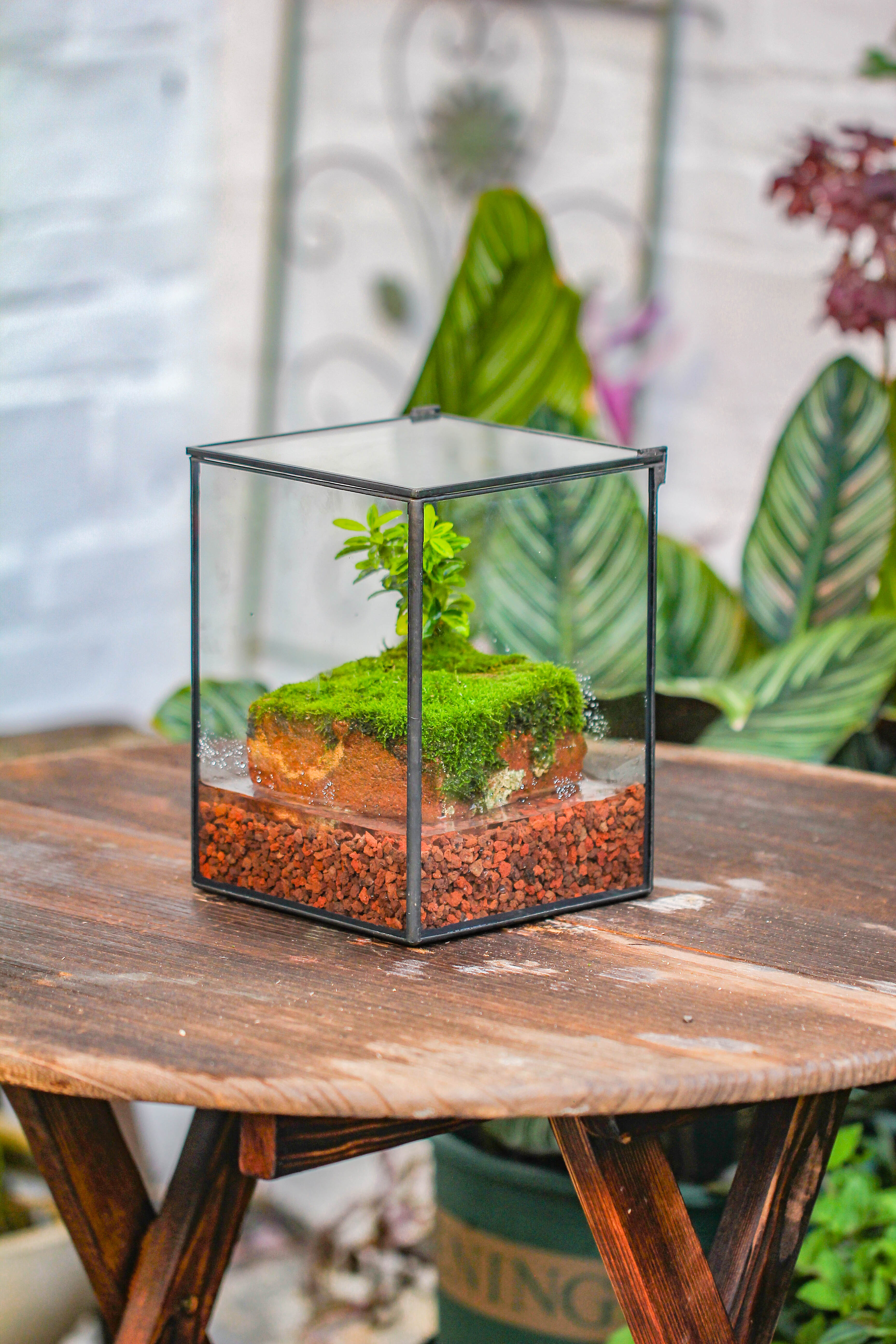 NCYP Watertight Close Geometric Glass Tin Terrarium, for small waterpond, moss landscape, Live Miniature, water pond, miniature - NCYPgarden