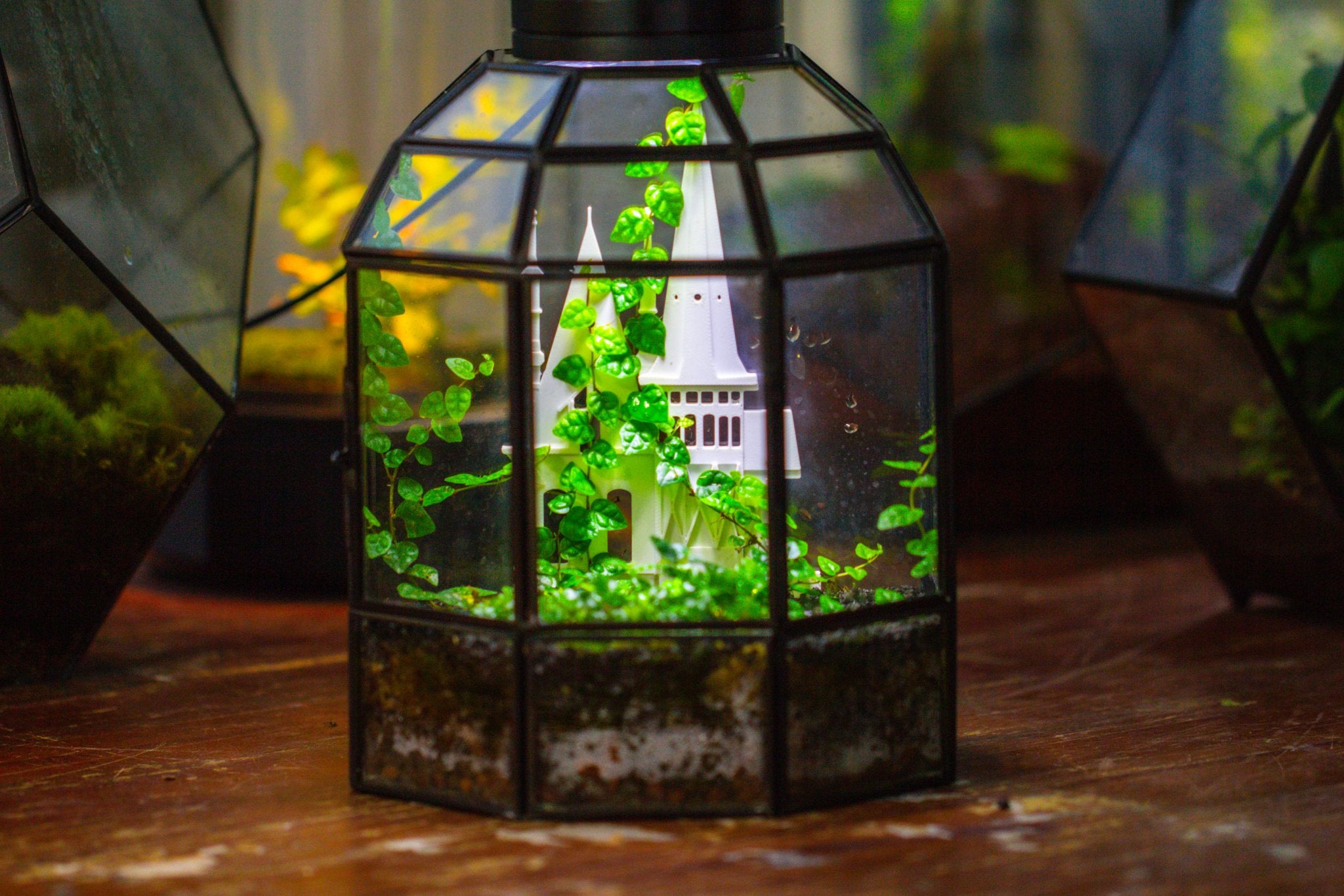 Half Dome Geometric Glass Terrarium, Close, Succulents Planter Pot Miniature Landscape Bonsai Container PD02B2 - NCYPgarden
