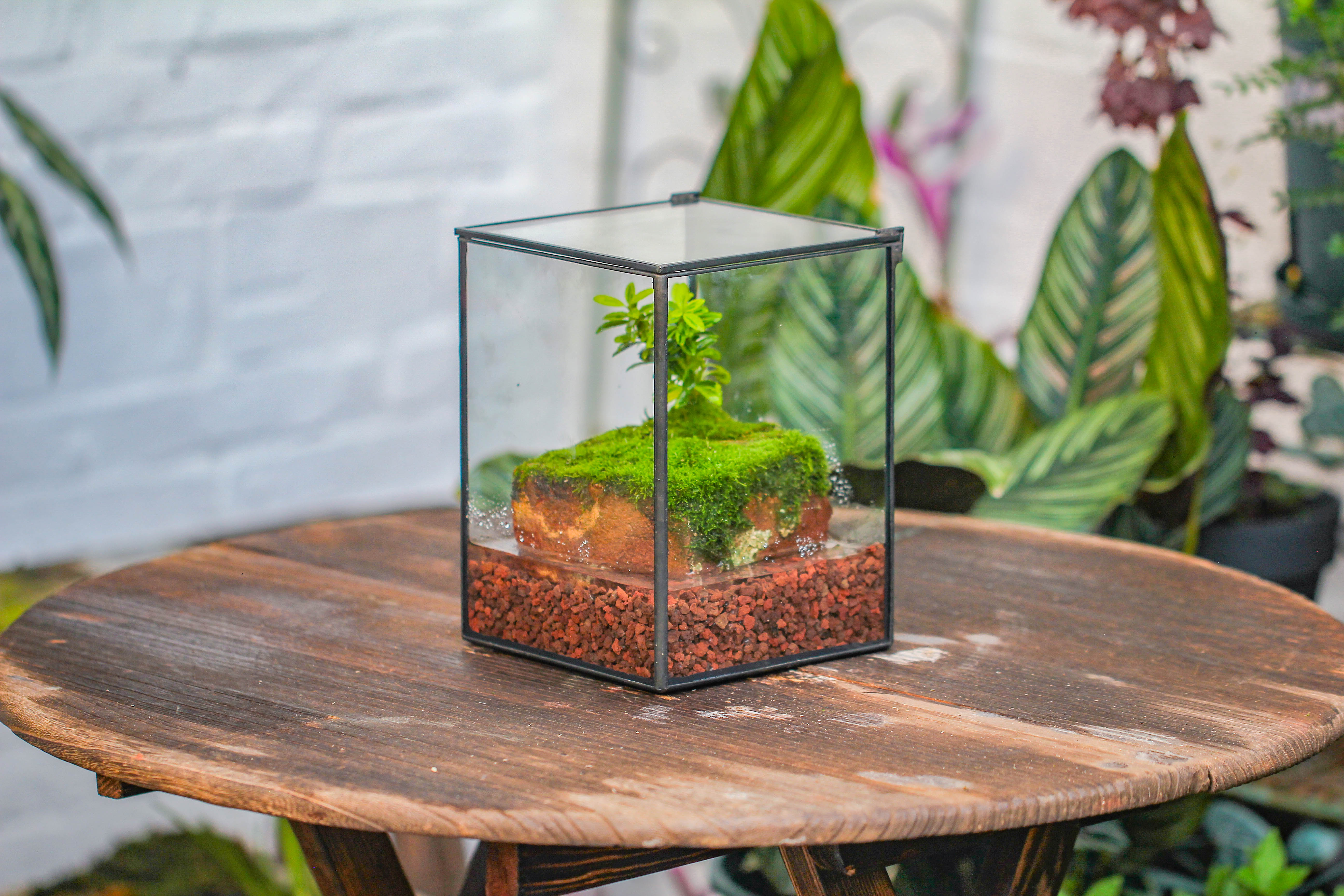 NCYP Watertight Close Geometric Glass Tin Terrarium, for small waterpond, moss landscape, Live Miniature, water pond, miniature - NCYPgarden