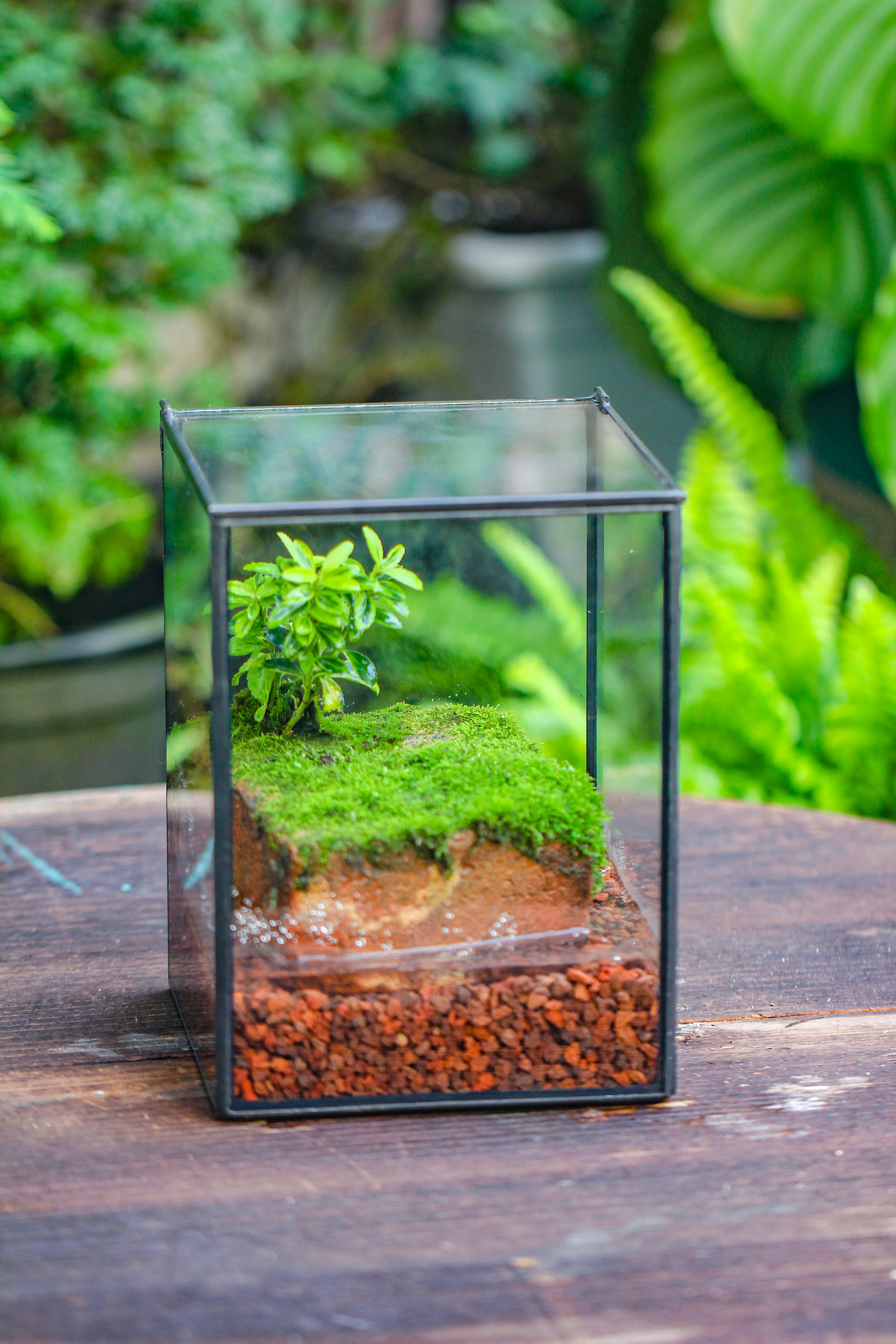 NCYP Watertight Close Geometric Glass Tin Terrarium, for small waterpond, moss landscape, Live Miniature, water pond, miniature - NCYPgarden