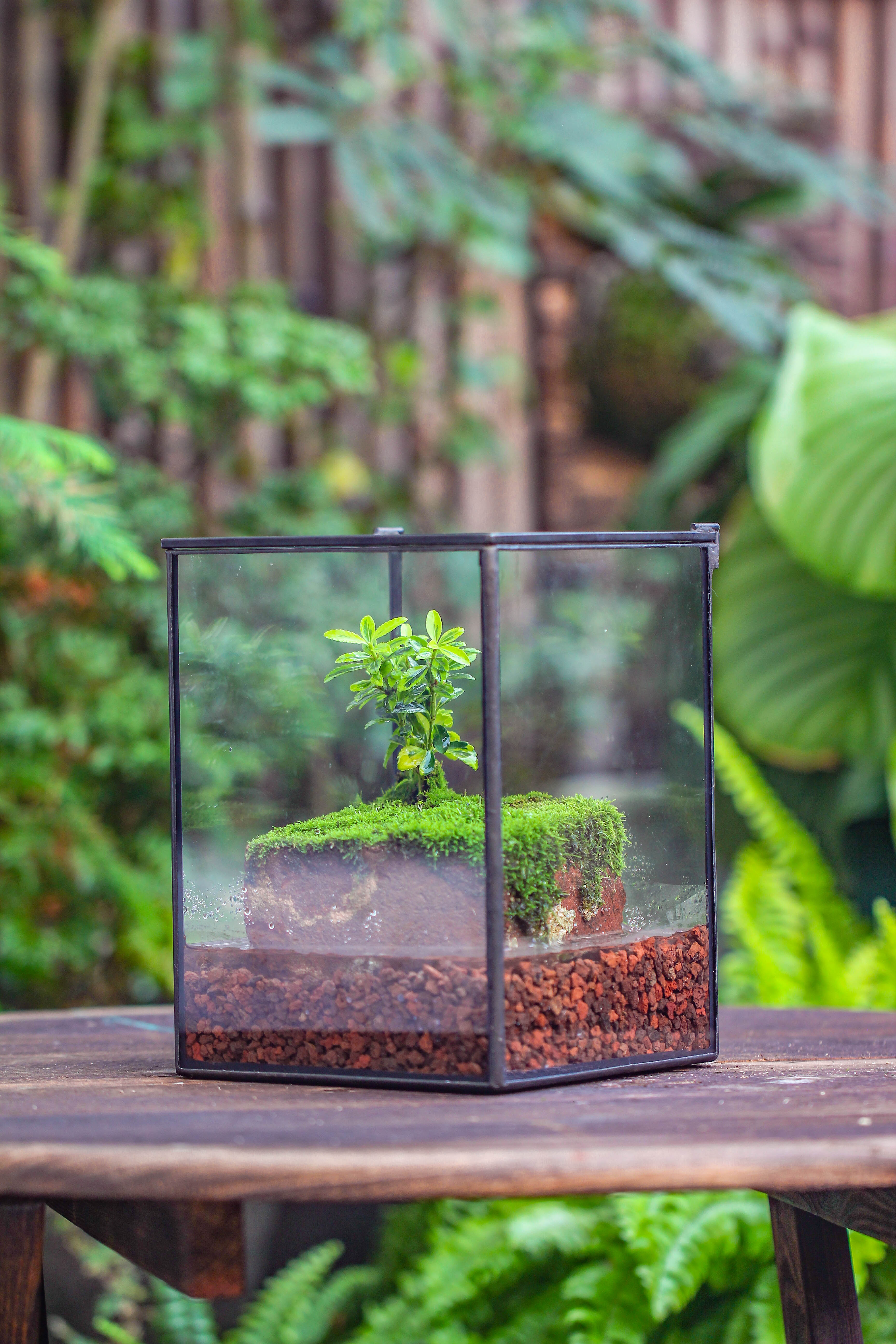 NCYP Watertight Close Geometric Glass Tin Terrarium, for small waterpond, moss landscape, Live Miniature, water pond, miniature - NCYPgarden
