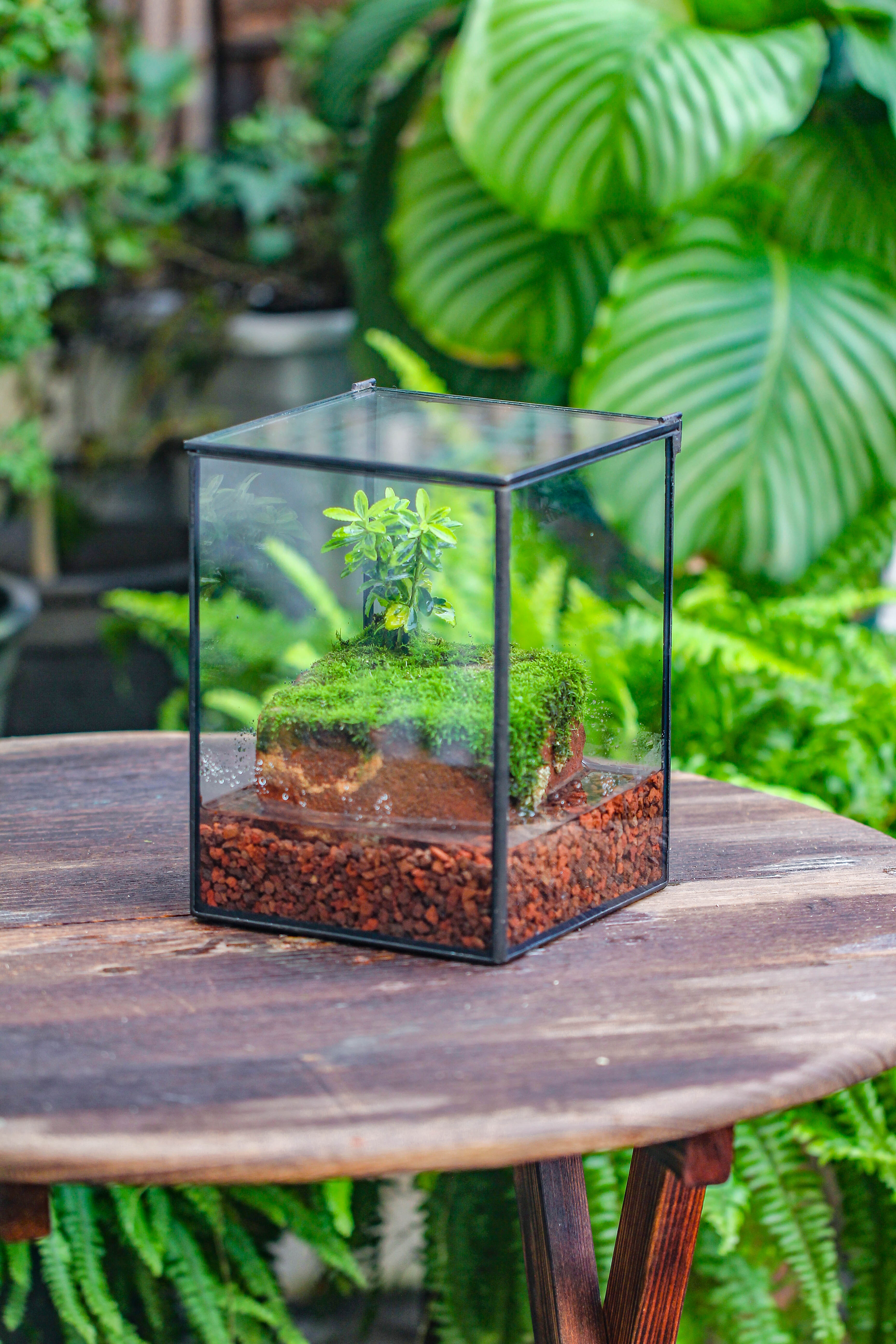 NCYP Watertight Close Geometric Glass Tin Terrarium, for small waterpond, moss landscape, Live Miniature, water pond, miniature - NCYPgarden