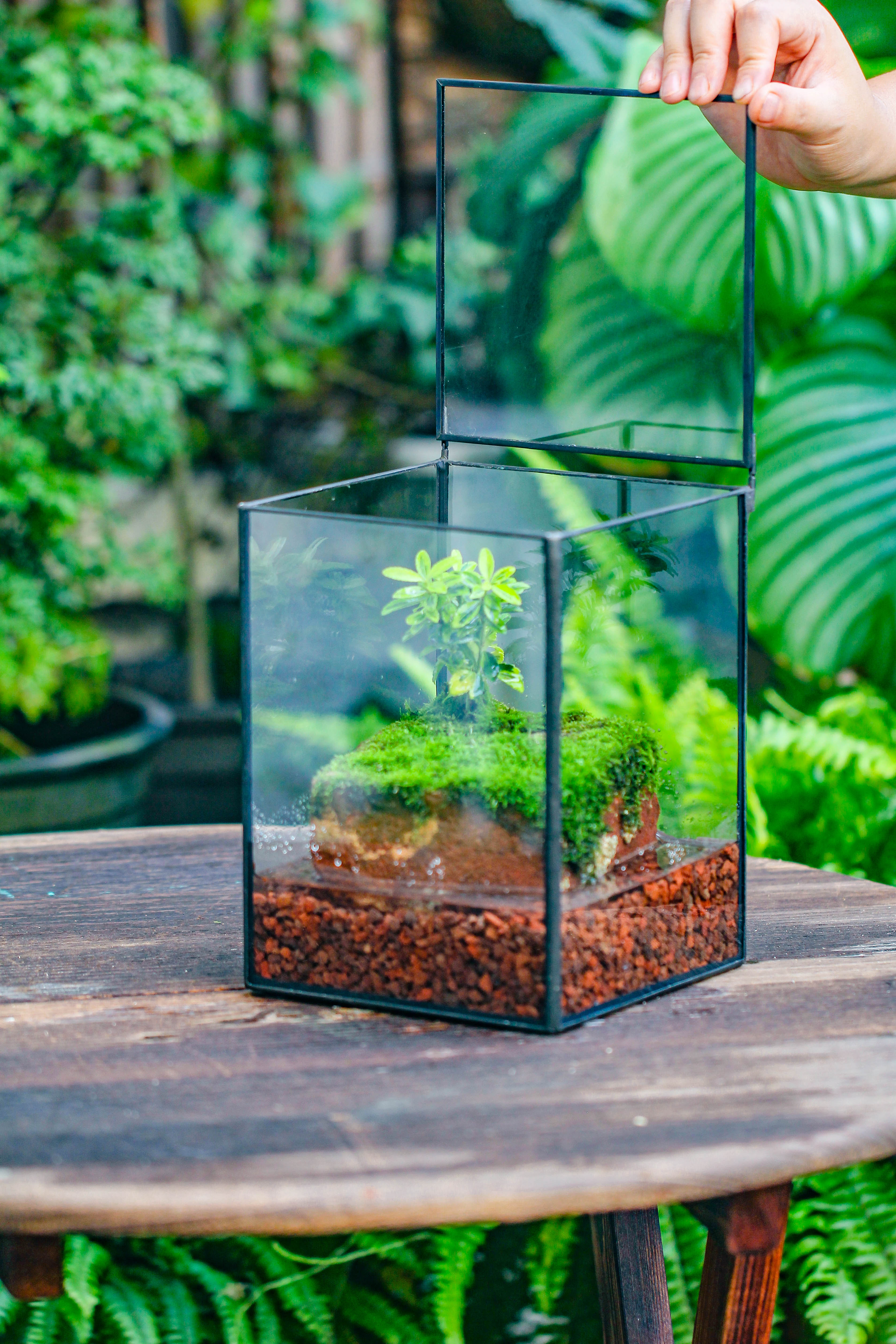NCYP Watertight Close Geometric Glass Tin Terrarium, for small waterpond, moss landscape, Live Miniature, water pond, miniature - NCYPgarden