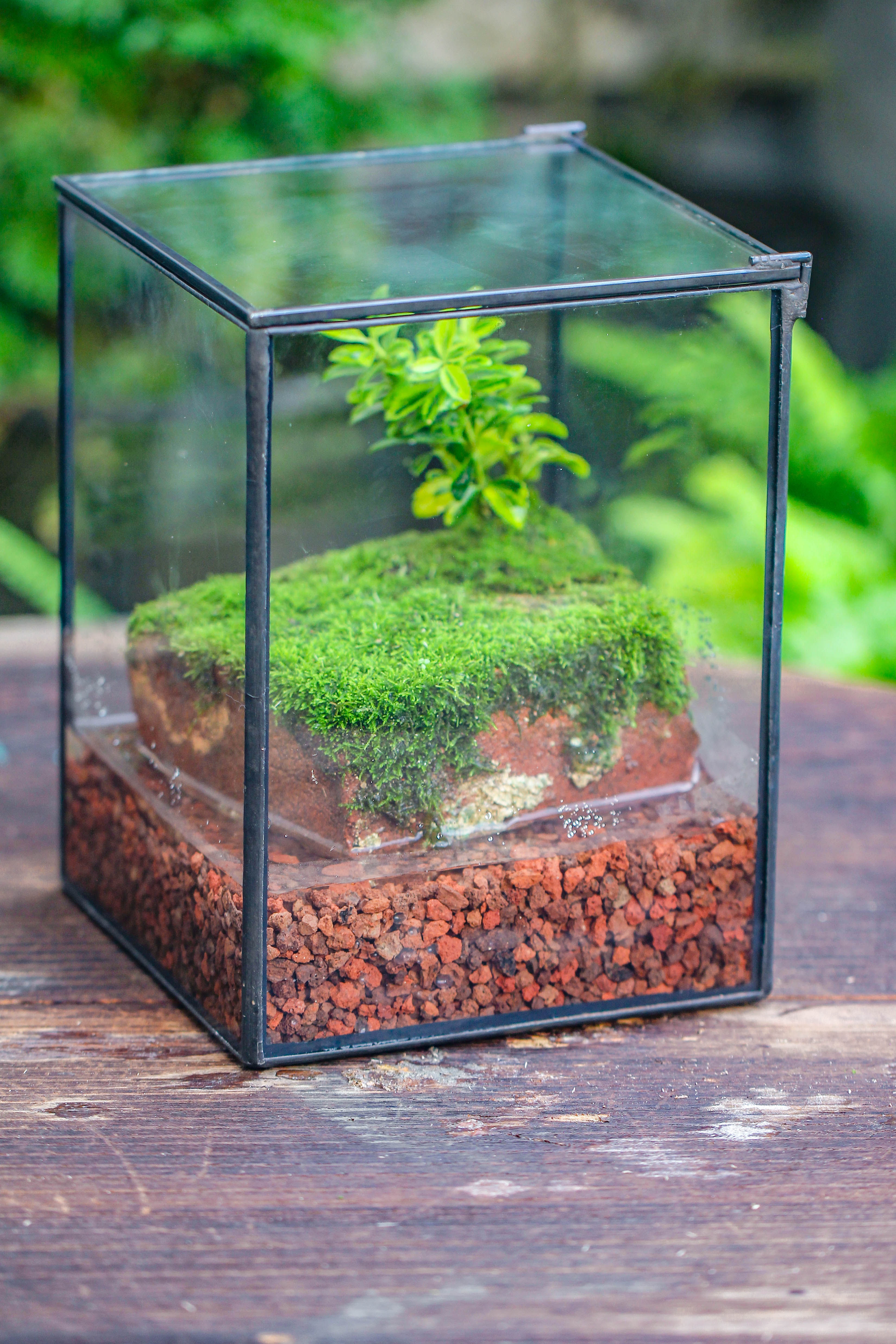 NCYP Watertight Close Geometric Glass Tin Terrarium, for small waterpond, moss landscape, Live Miniature, water pond, miniature - NCYPgarden