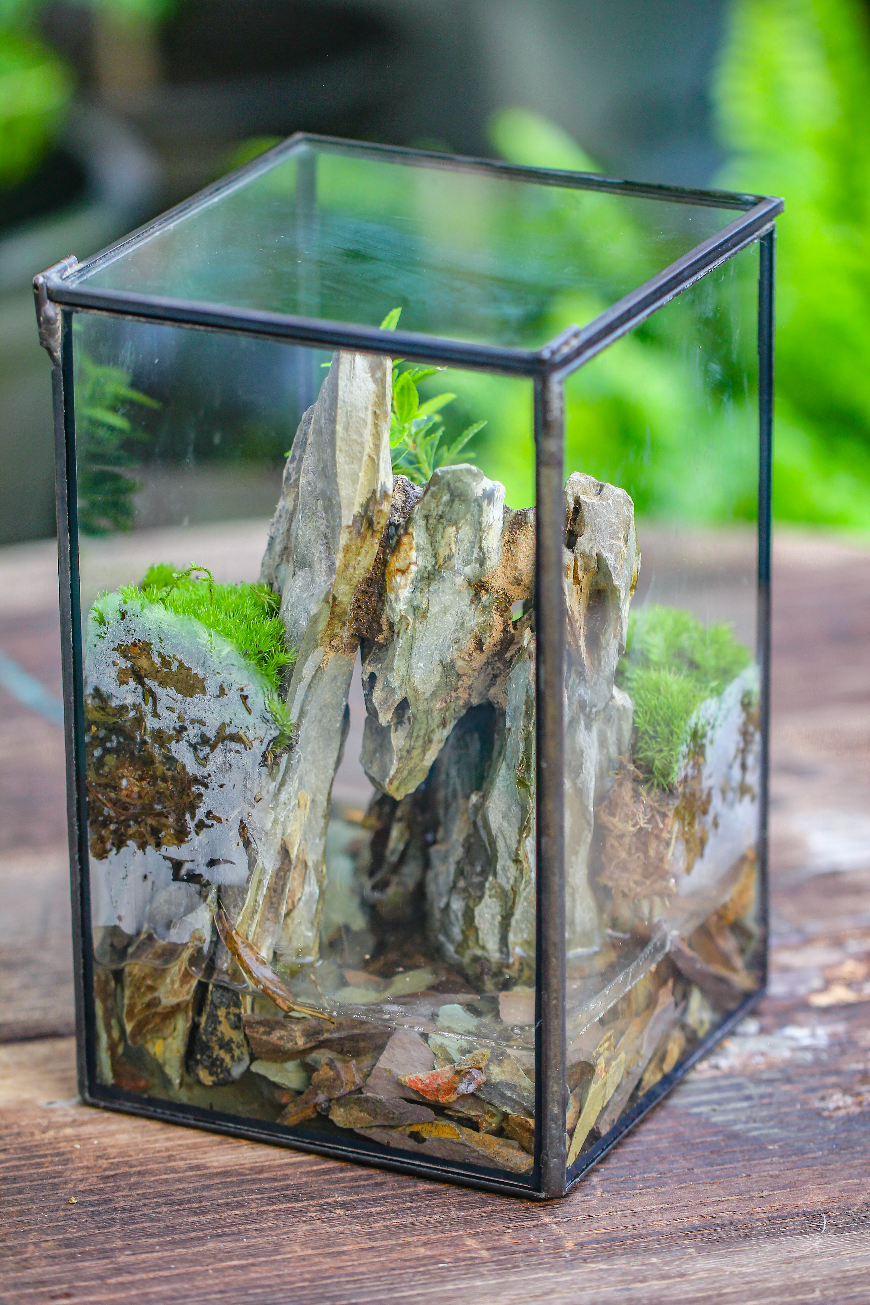 5-12cm Natural Ohko Dragon Stone Rock for Terrarium, Aquarium Bonsai Landscape, 500g - NCYPgarden