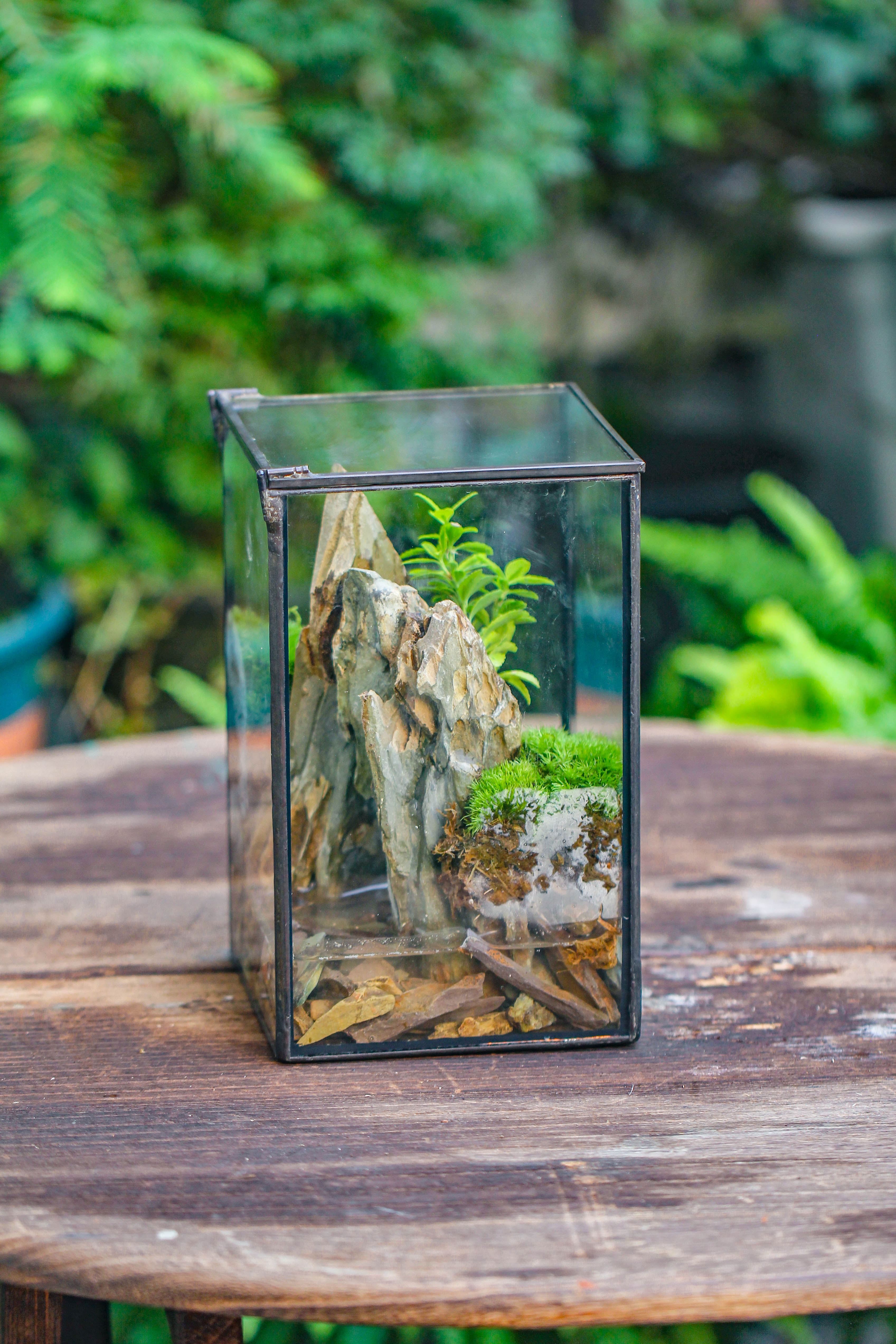 5-12cm Natural Ohko Dragon Stone Rock for Terrarium, Aquarium Bonsai Landscape, 500g - NCYPgarden