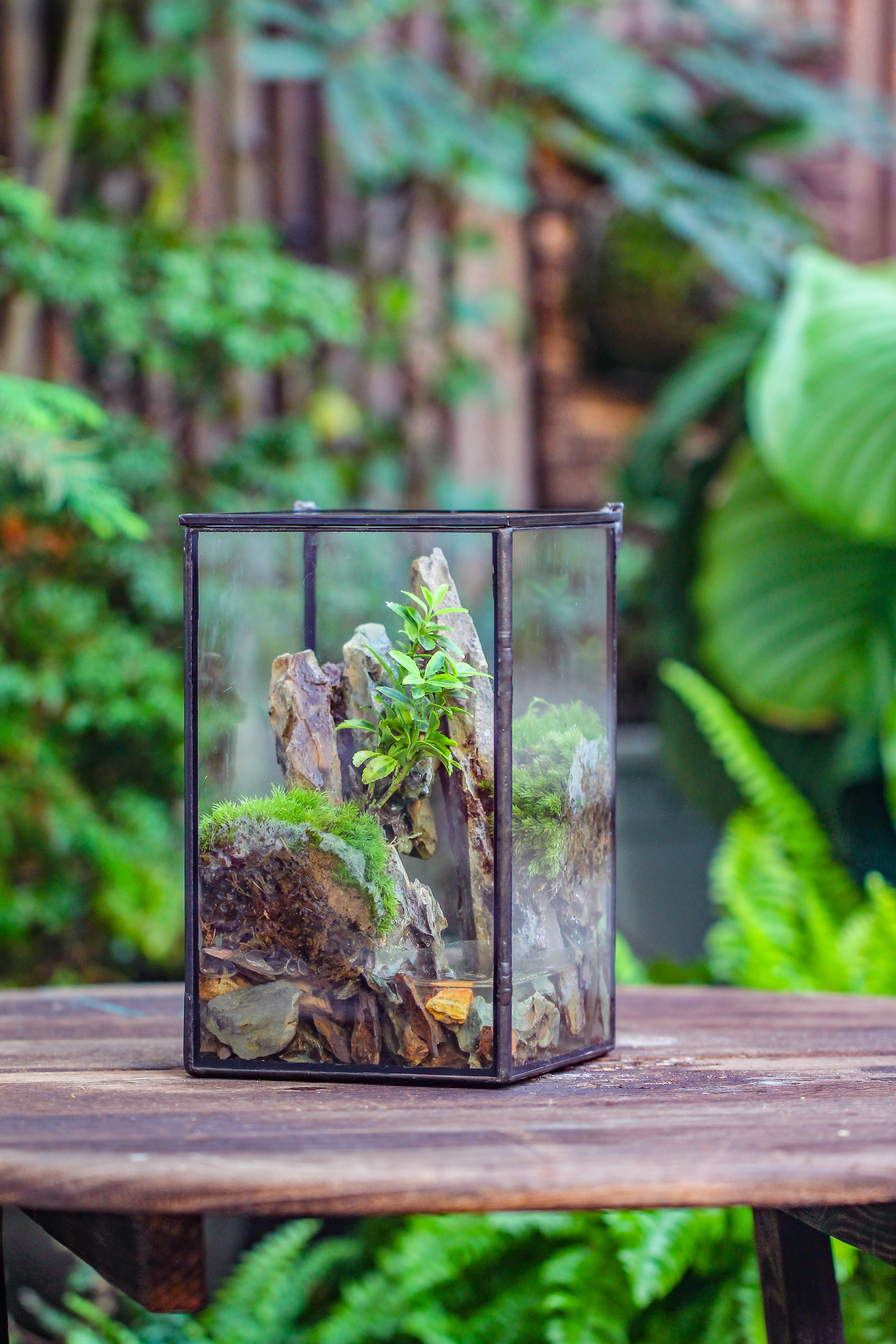 NCYP Watertight Close Geometric Glass Tin Terrarium, for small waterpond, moss landscape, Live Miniature, water pond, miniature - NCYPgarden