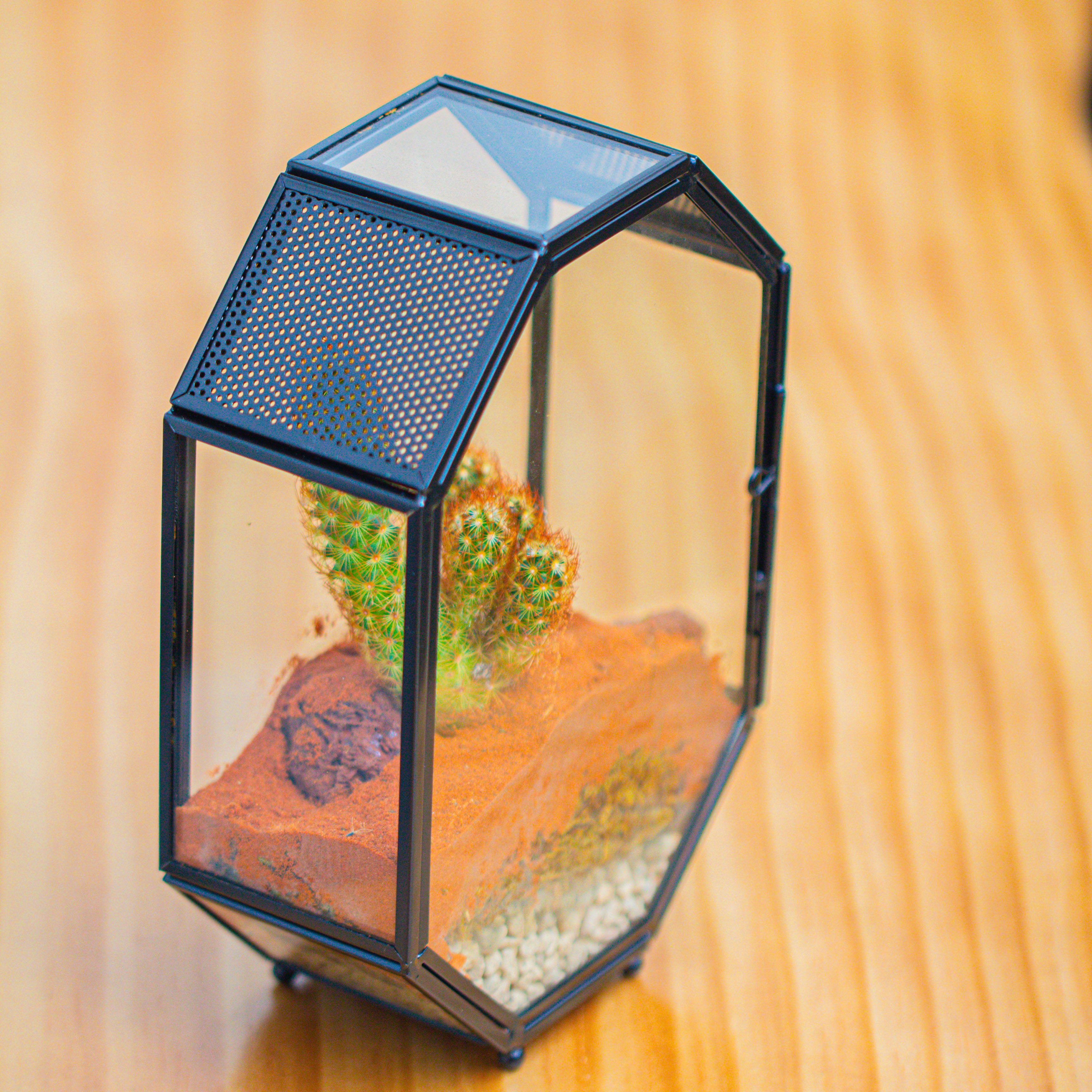 Mini 5x7 inches Octagon Shape Glass Geometric Terrarium Enclosure with Side Vent  for Small Insect, Jumping Spider - NCYPgarden