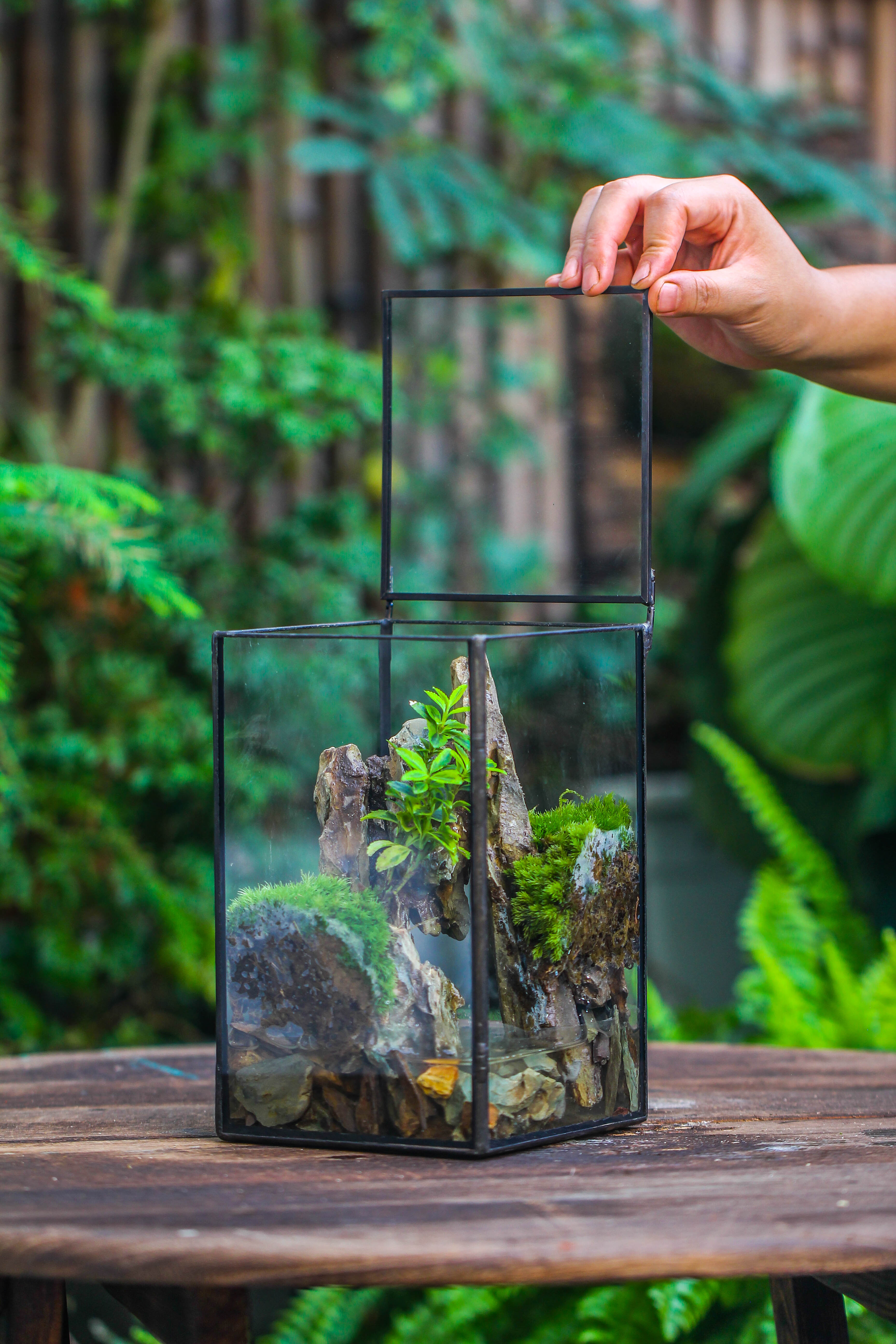 NCYP Watertight Close Geometric Glass Tin Terrarium, for small waterpond, moss landscape, Live Miniature, water pond, miniature - NCYPgarden
