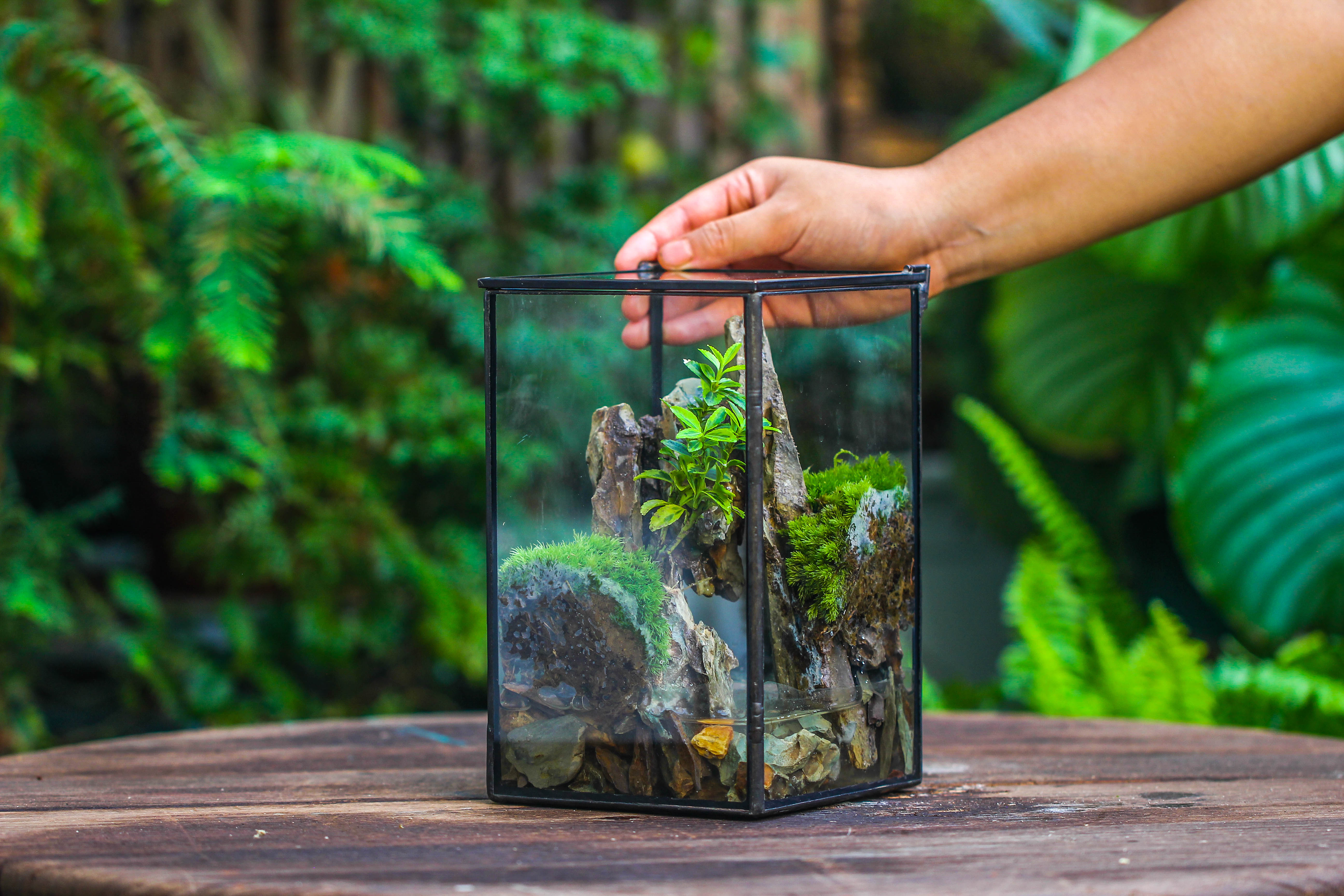 NCYP Watertight Close Geometric Glass Tin Terrarium, for small waterpond, moss landscape, Live Miniature, water pond, miniature - NCYPgarden