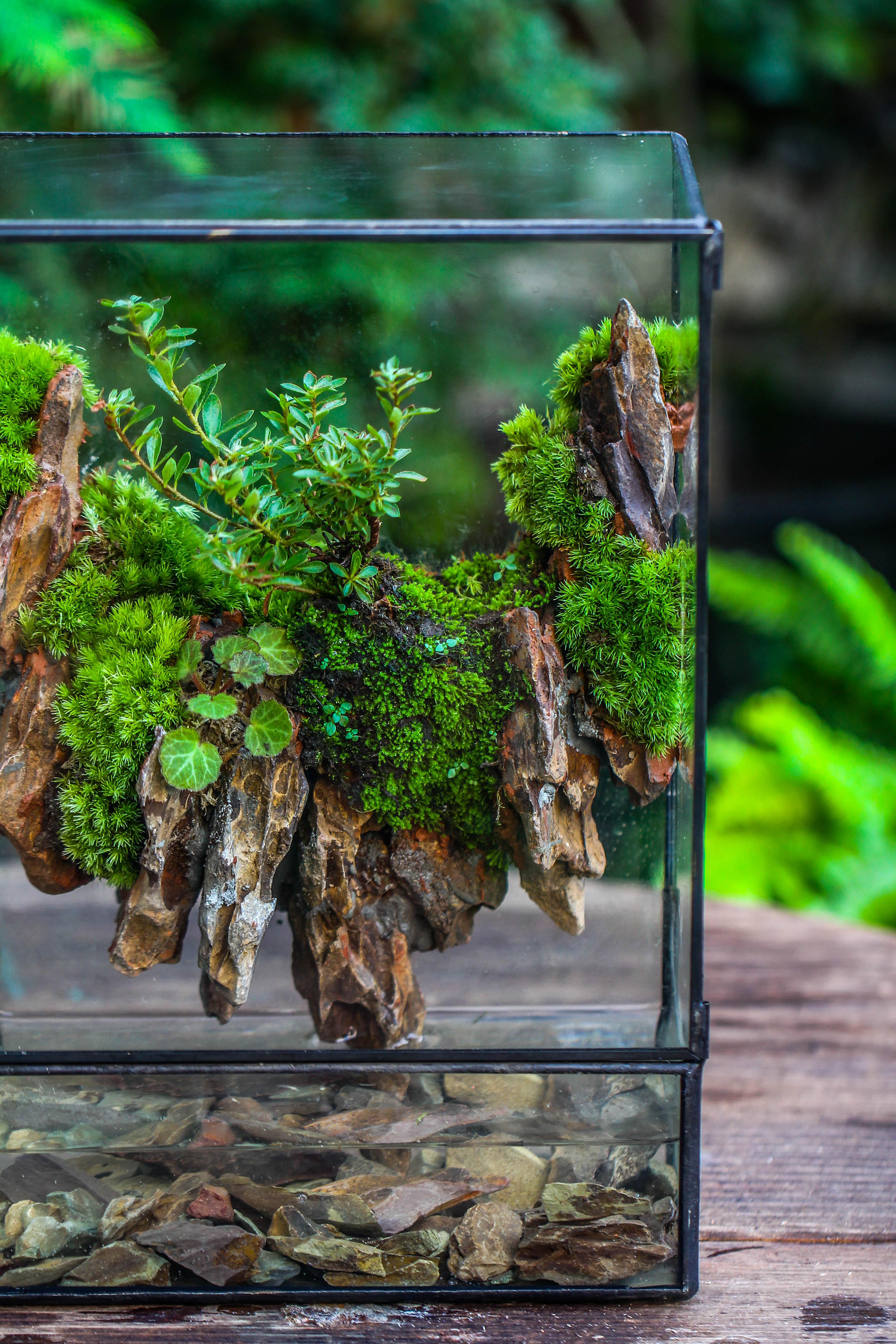 5-12cm Natural Ohko Dragon Stone Rock for Terrarium, Aquarium Bonsai Landscape, 500g - NCYPgarden