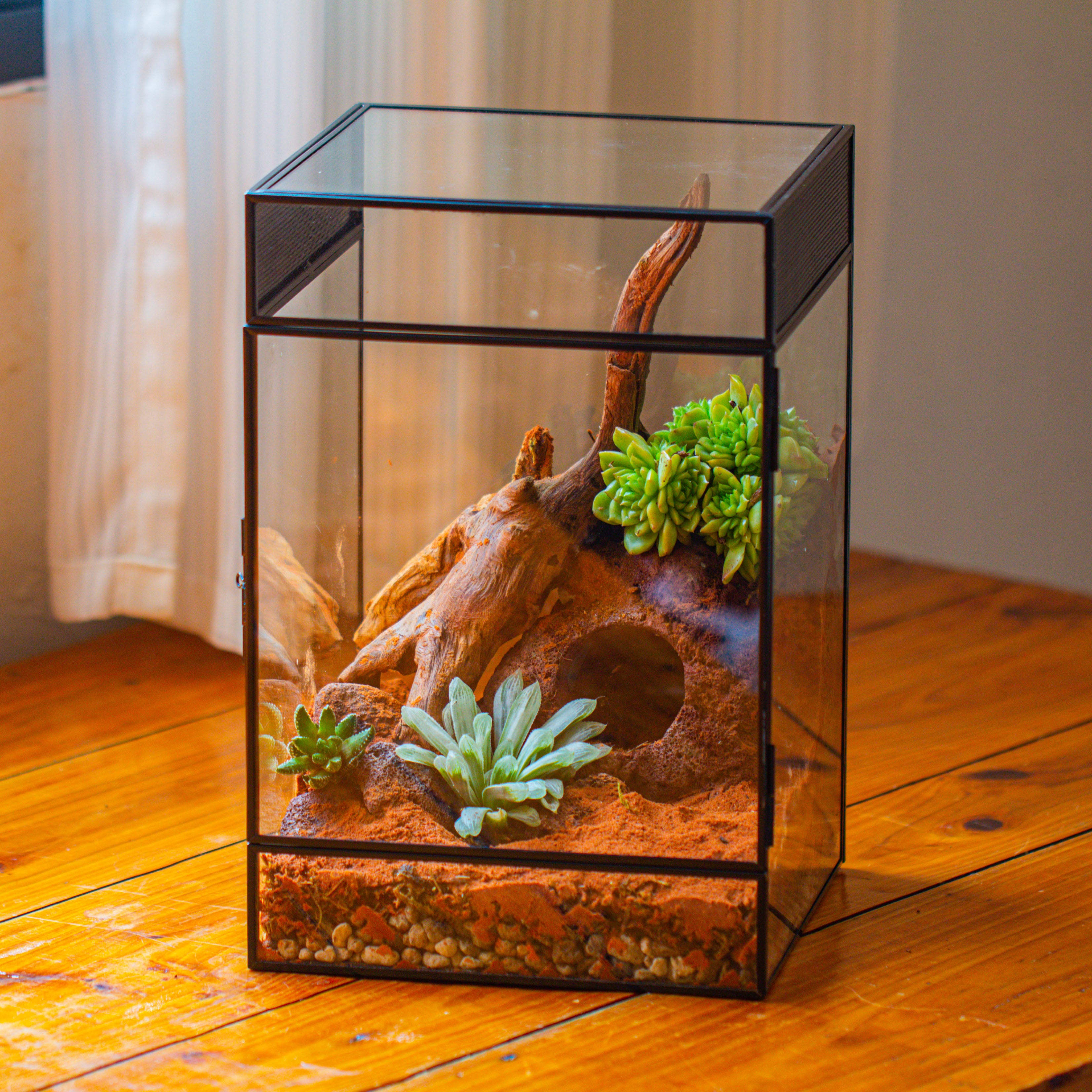 8x8x12 inches Large Handmade Glass Geometric Terrarium with Side Vent, for large insects - NCYPgarden