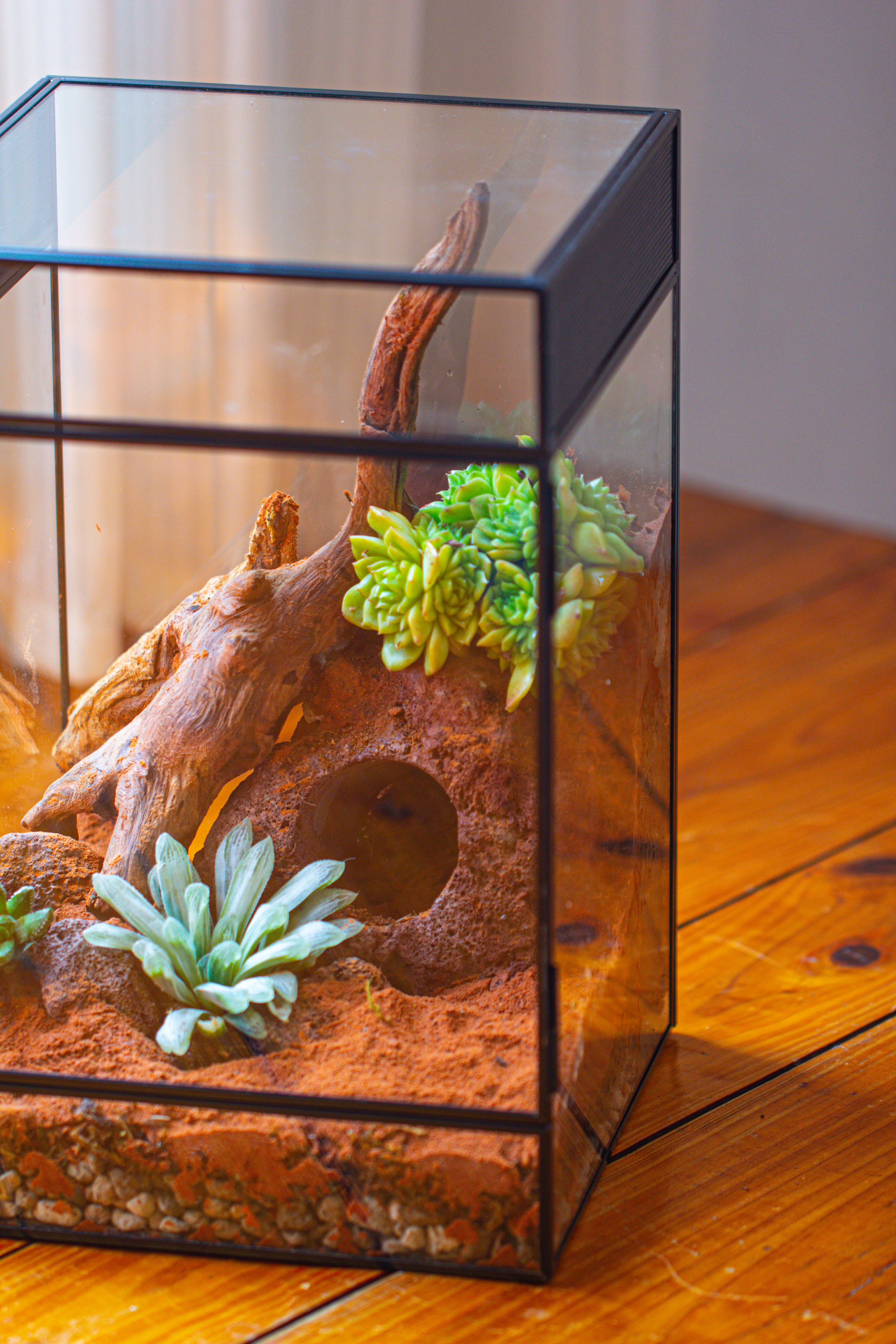 8x8x12 inches Large Handmade Glass Geometric Terrarium with Side Vent, for large insects - NCYPgarden