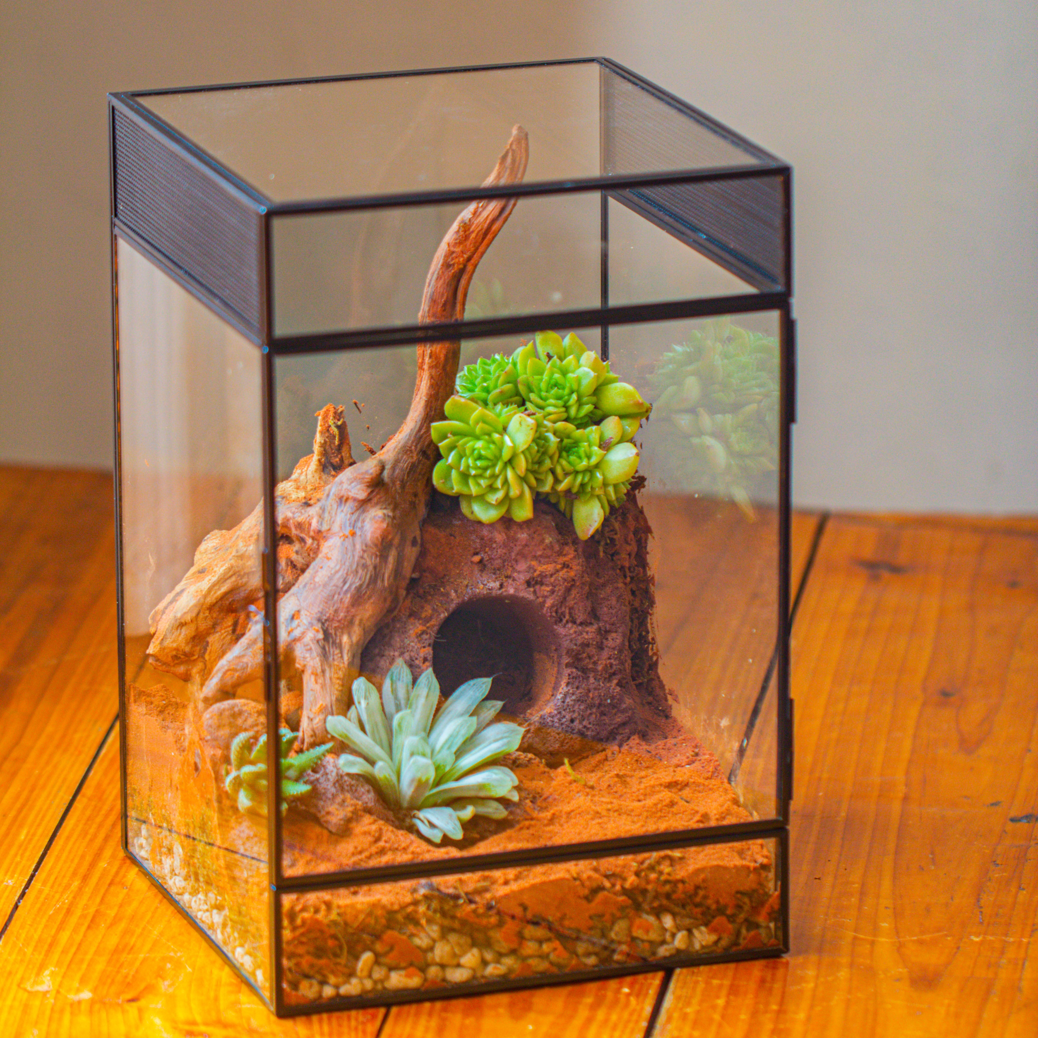 8x8x12 inches Large Handmade Glass Geometric Terrarium with Side Vent, for large insects - NCYPgarden