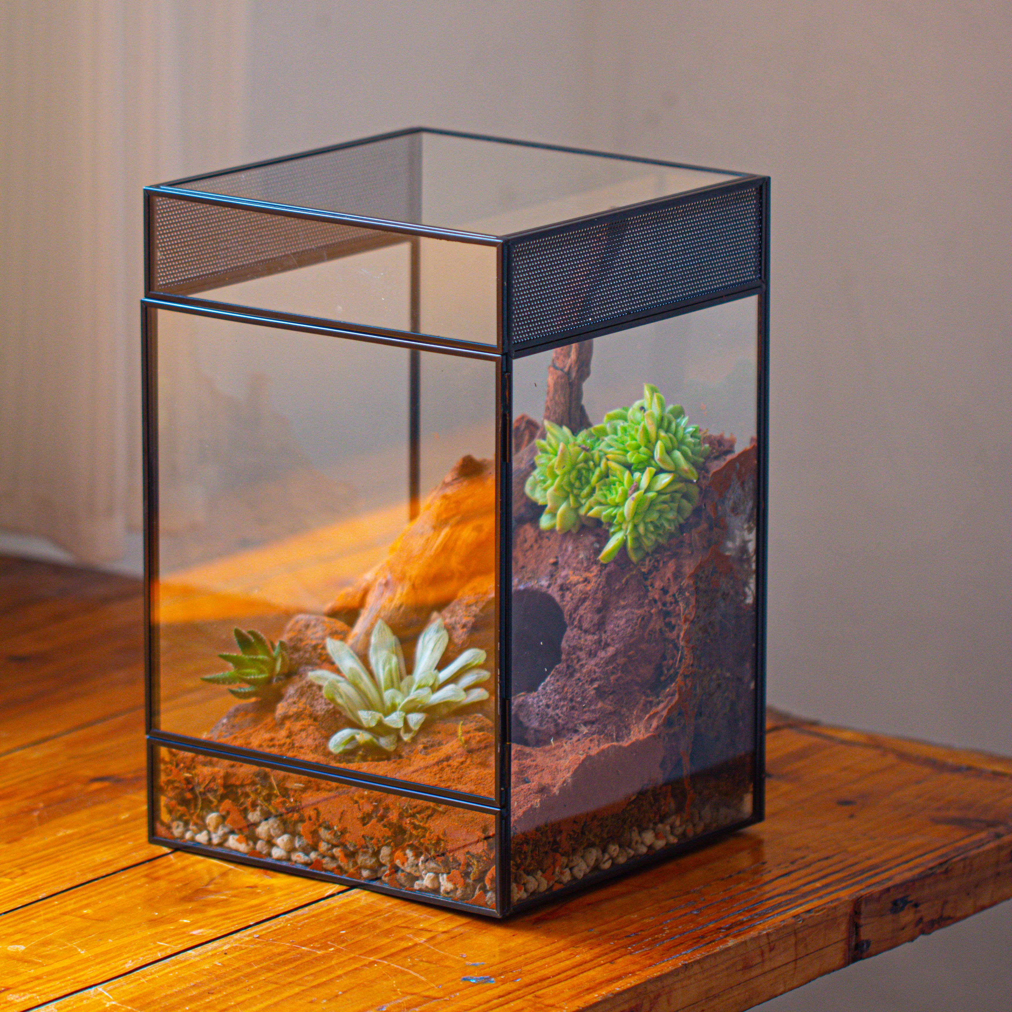 8x8x12 inches Large Handmade Glass Geometric Terrarium with Side Vent, for large insects - NCYPgarden