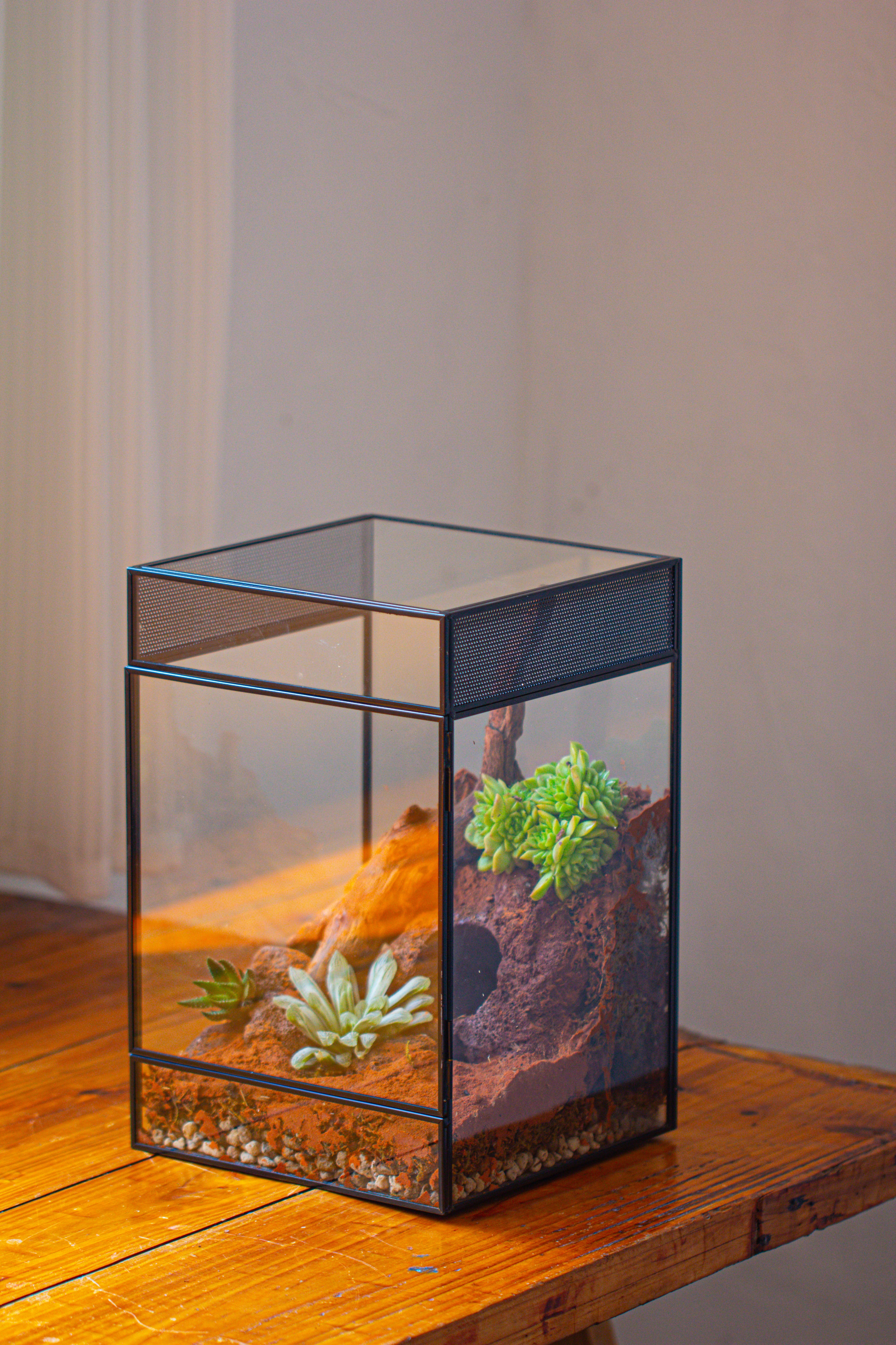 8x8x12 inches Large Handmade Glass Geometric Terrarium with Side Vent, for large insects - NCYPgarden