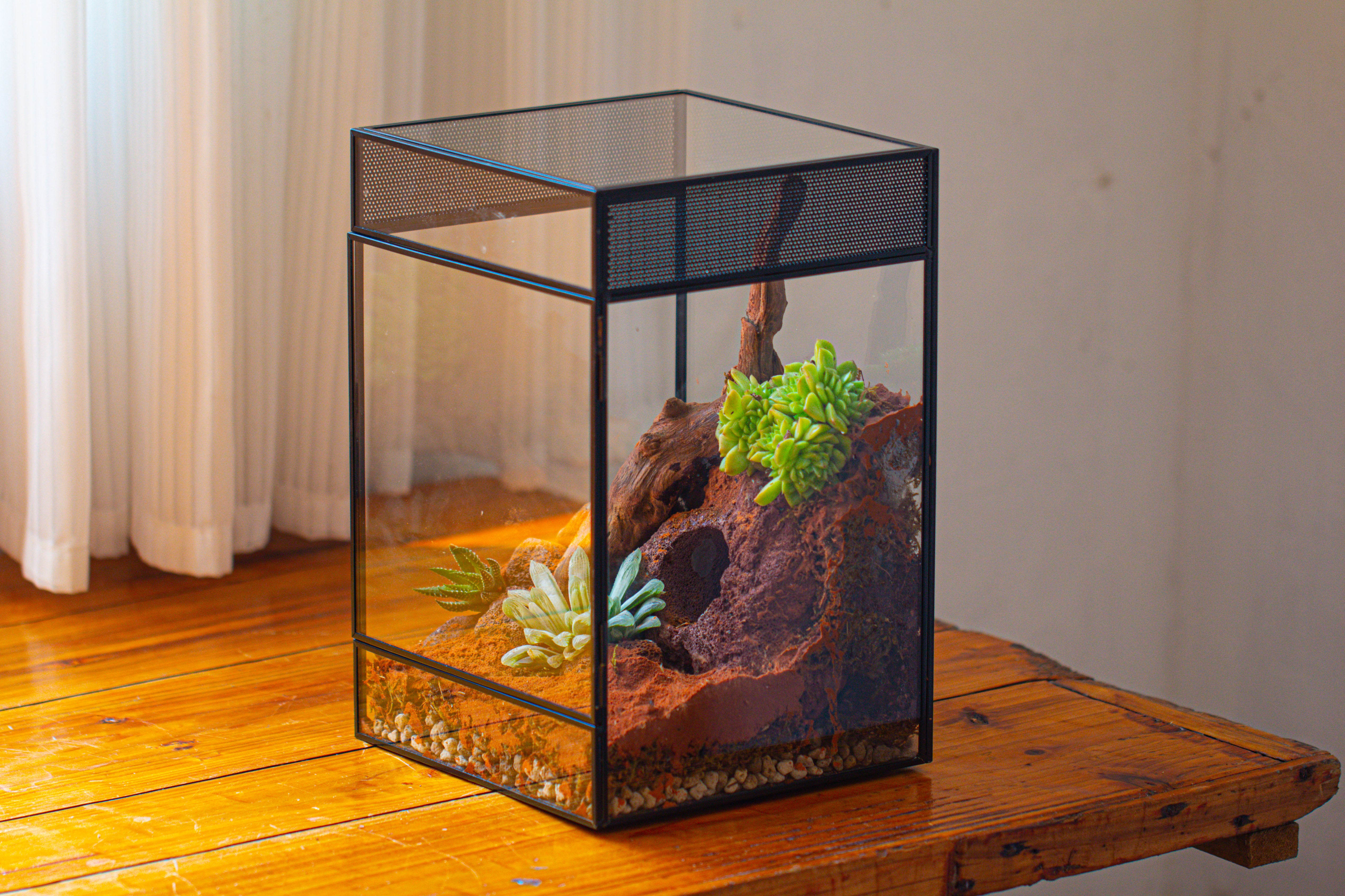8x8x12 inches Large Handmade Glass Geometric Terrarium with Side Vent, for large insects - NCYPgarden