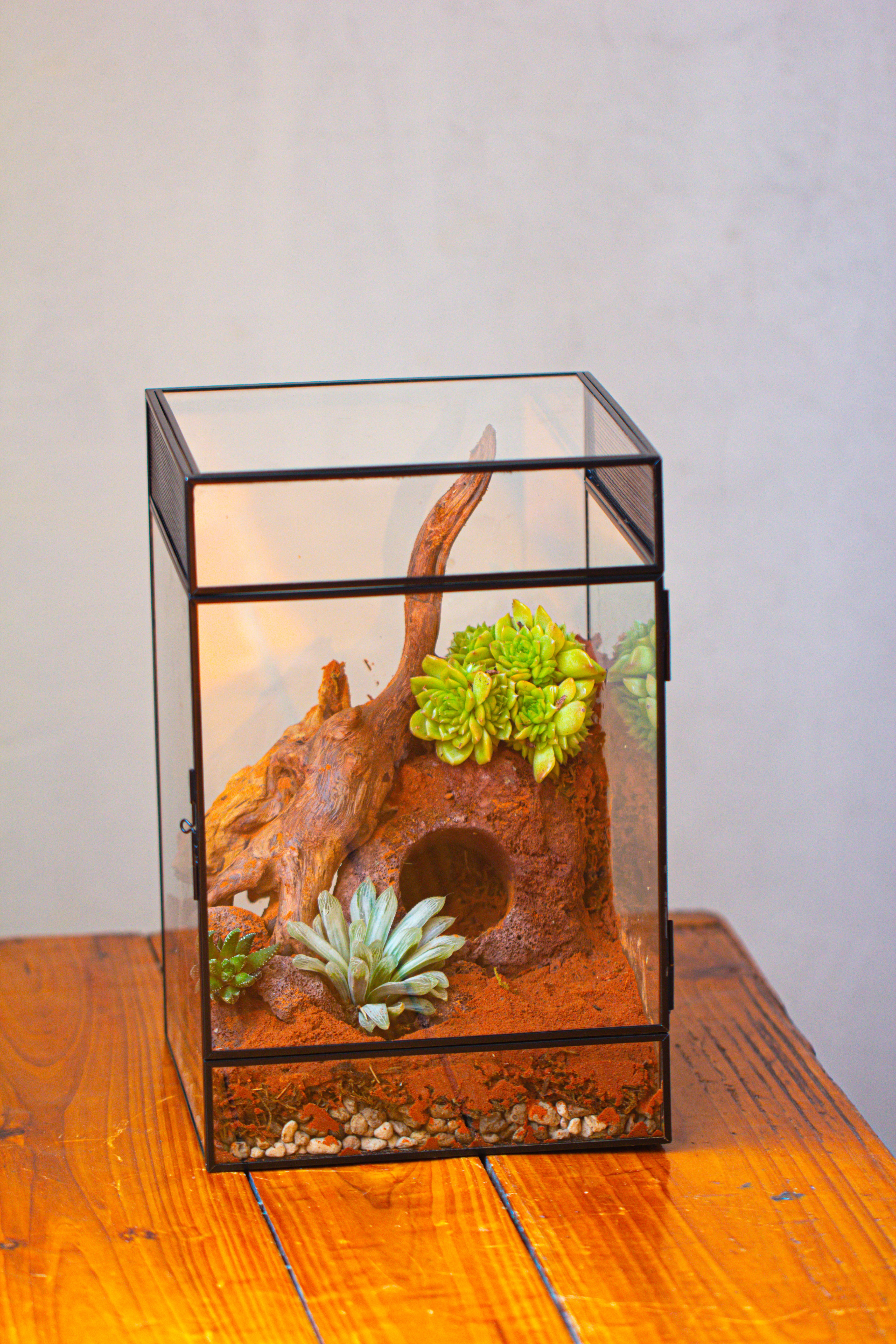 8x8x12 inches Large Handmade Glass Geometric Terrarium with Side Vent, for large insects - NCYPgarden