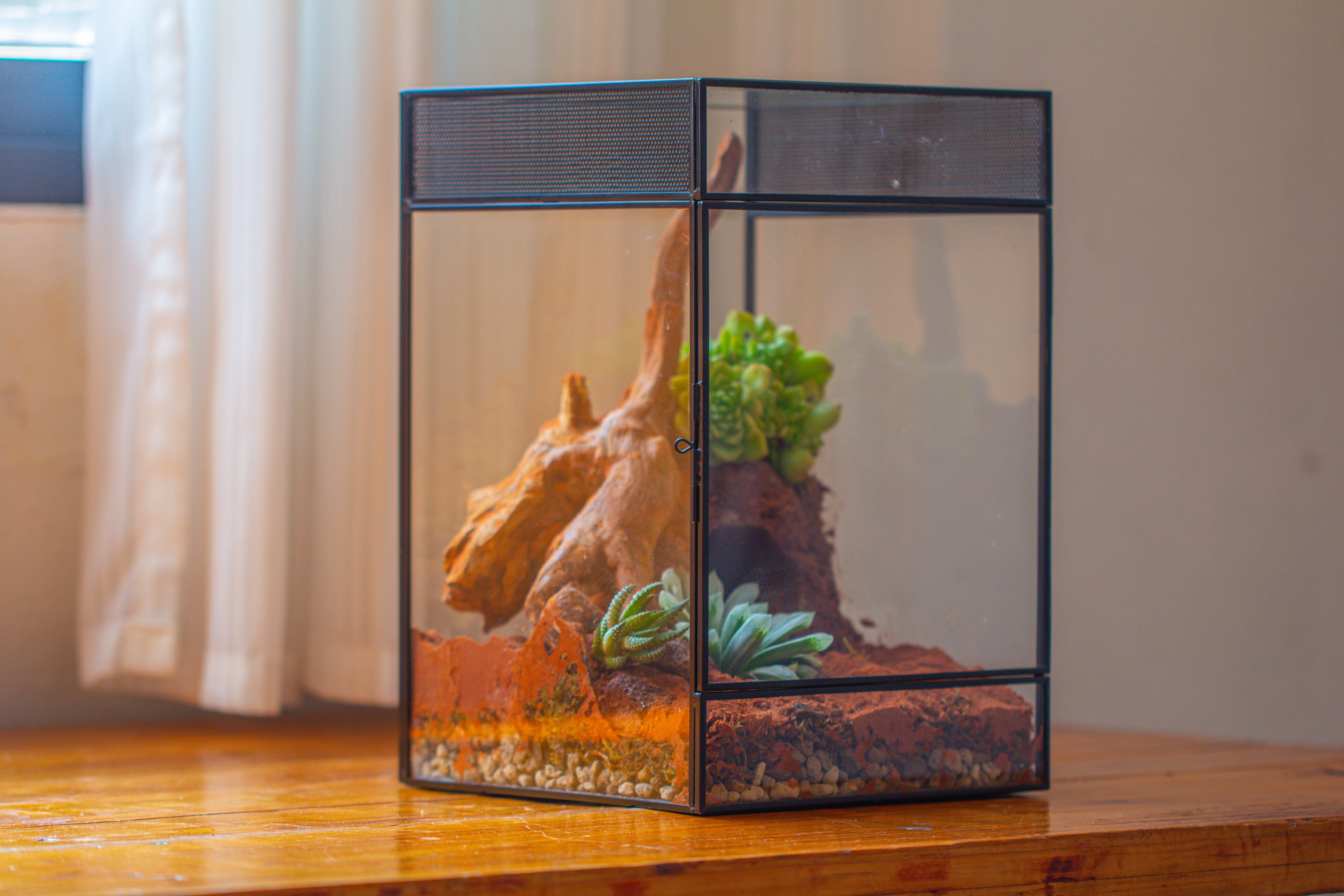 8x8x12 inches Large Handmade Glass Geometric Terrarium with Side Vent, for large insects - NCYPgarden