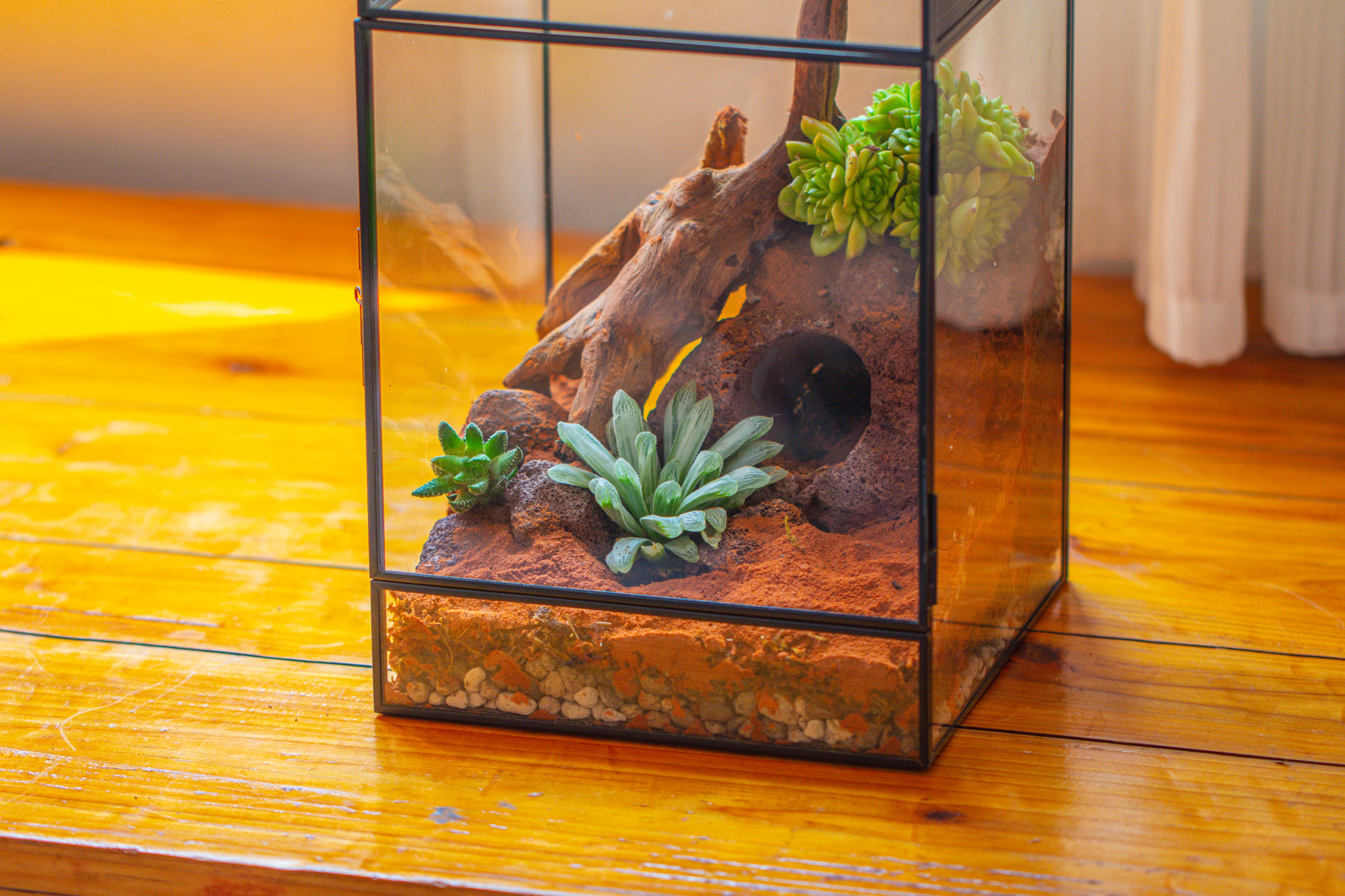 8x8x12 inches Large Handmade Glass Geometric Terrarium with Side Vent, for large insects - NCYPgarden
