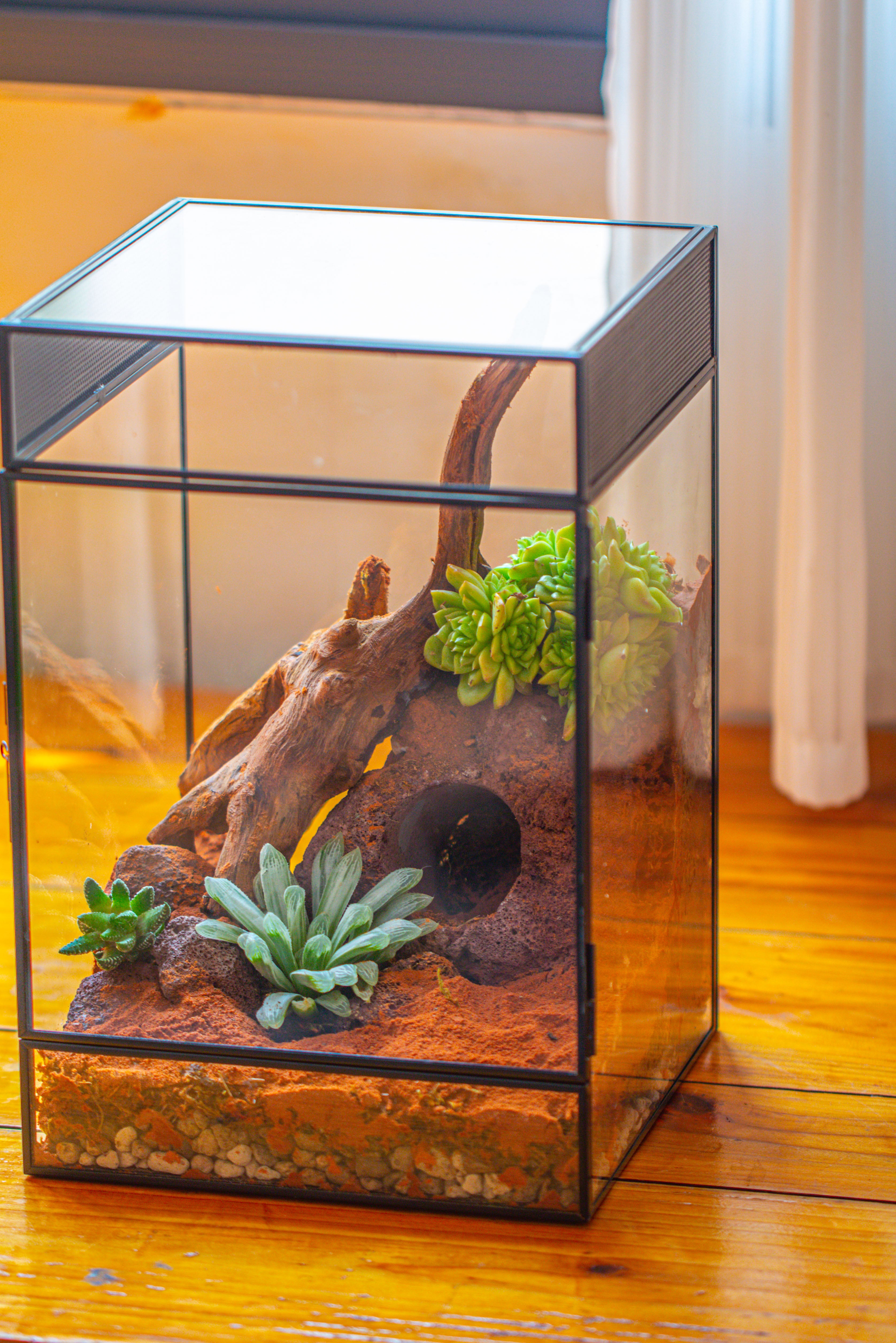 8x8x12 inches Large Handmade Glass Geometric Terrarium with Side Vent, for large insects - NCYPgarden