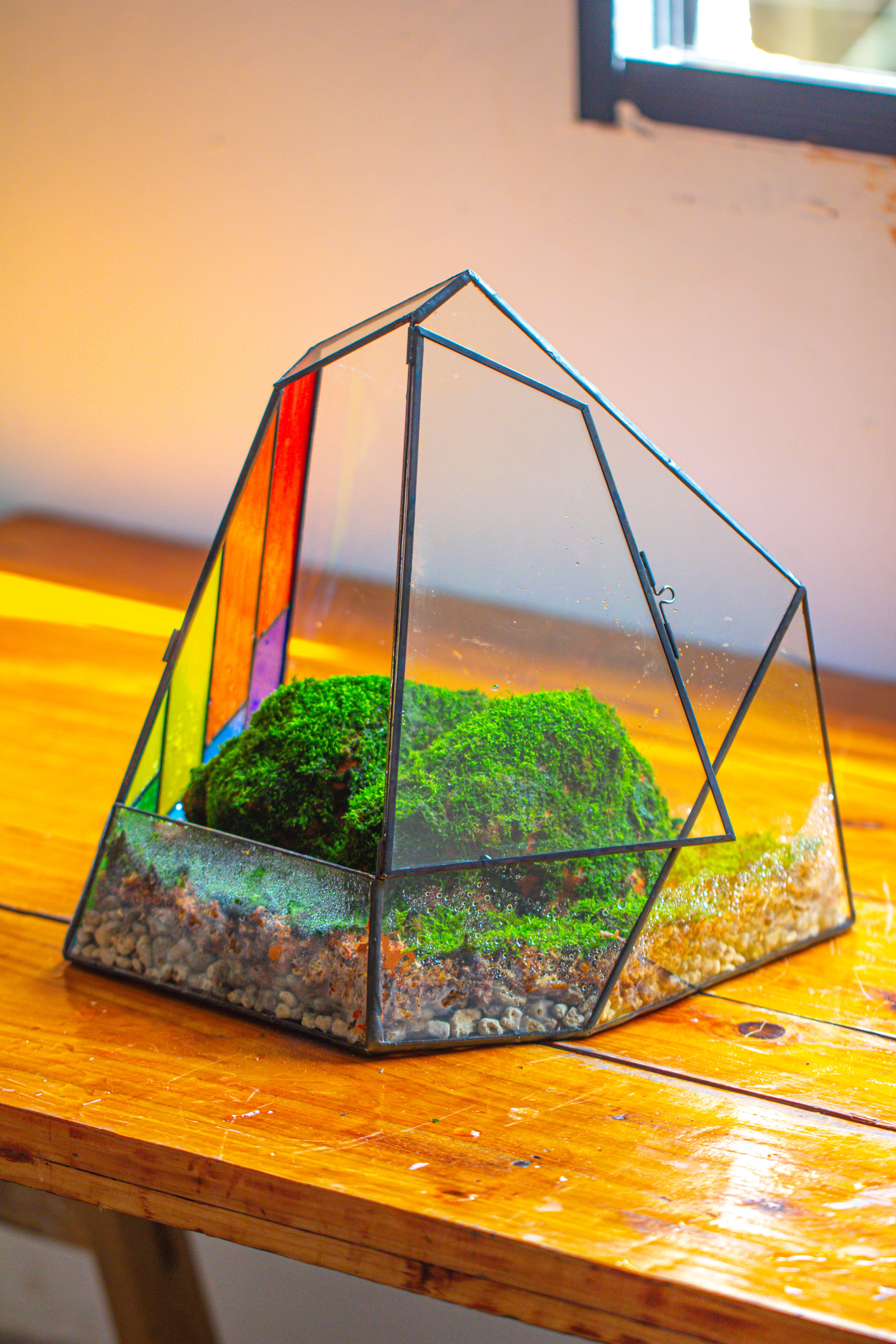 Rainbow Stained Glass Irregular Geometric Ice Peak  Shape Terrarium, Close - NCYPgarden