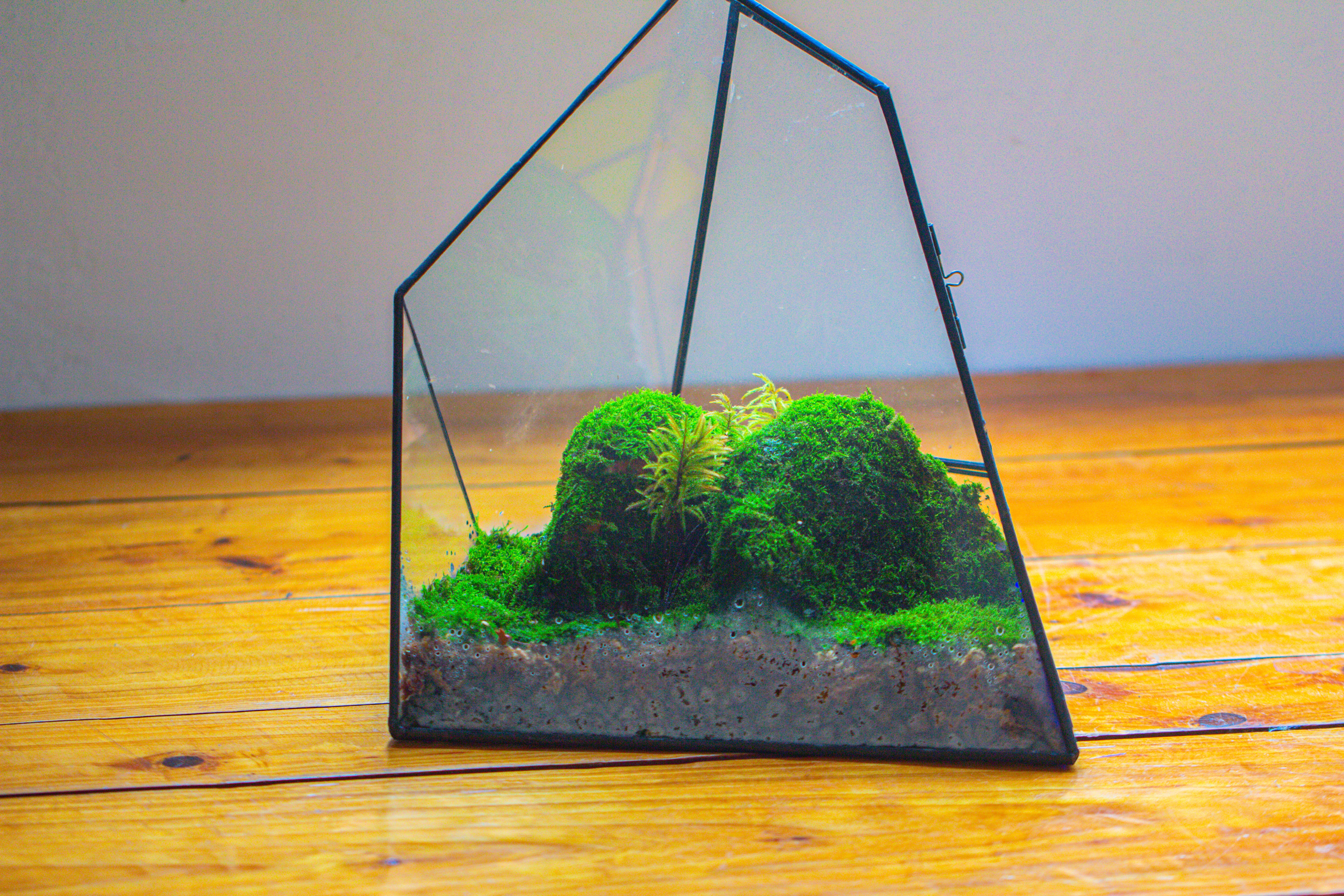 Rainbow Stained Glass Irregular Geometric Ice Peak  Shape Terrarium, Close - NCYPgarden