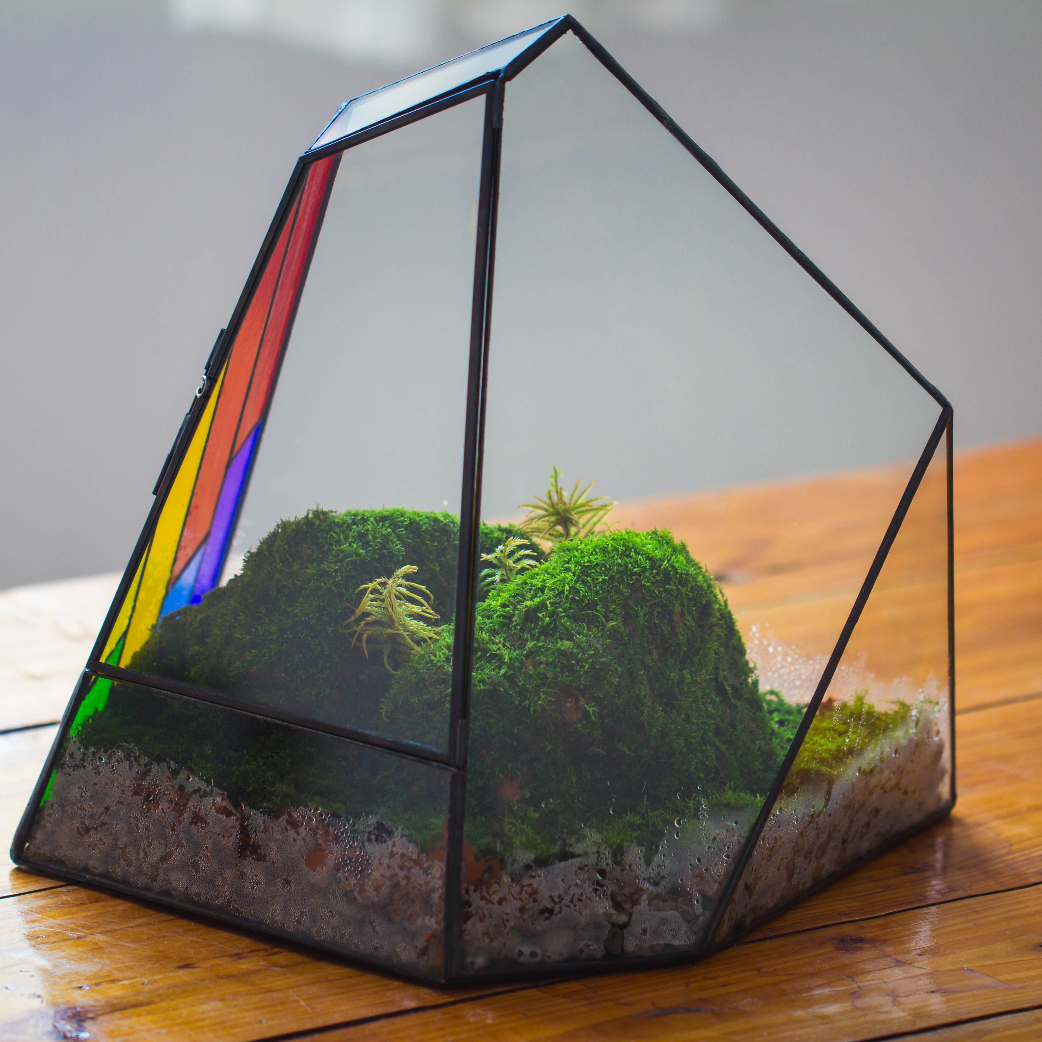 Rainbow Stained Glass Irregular Geometric Ice Peak  Shape Terrarium, Close - NCYPgarden