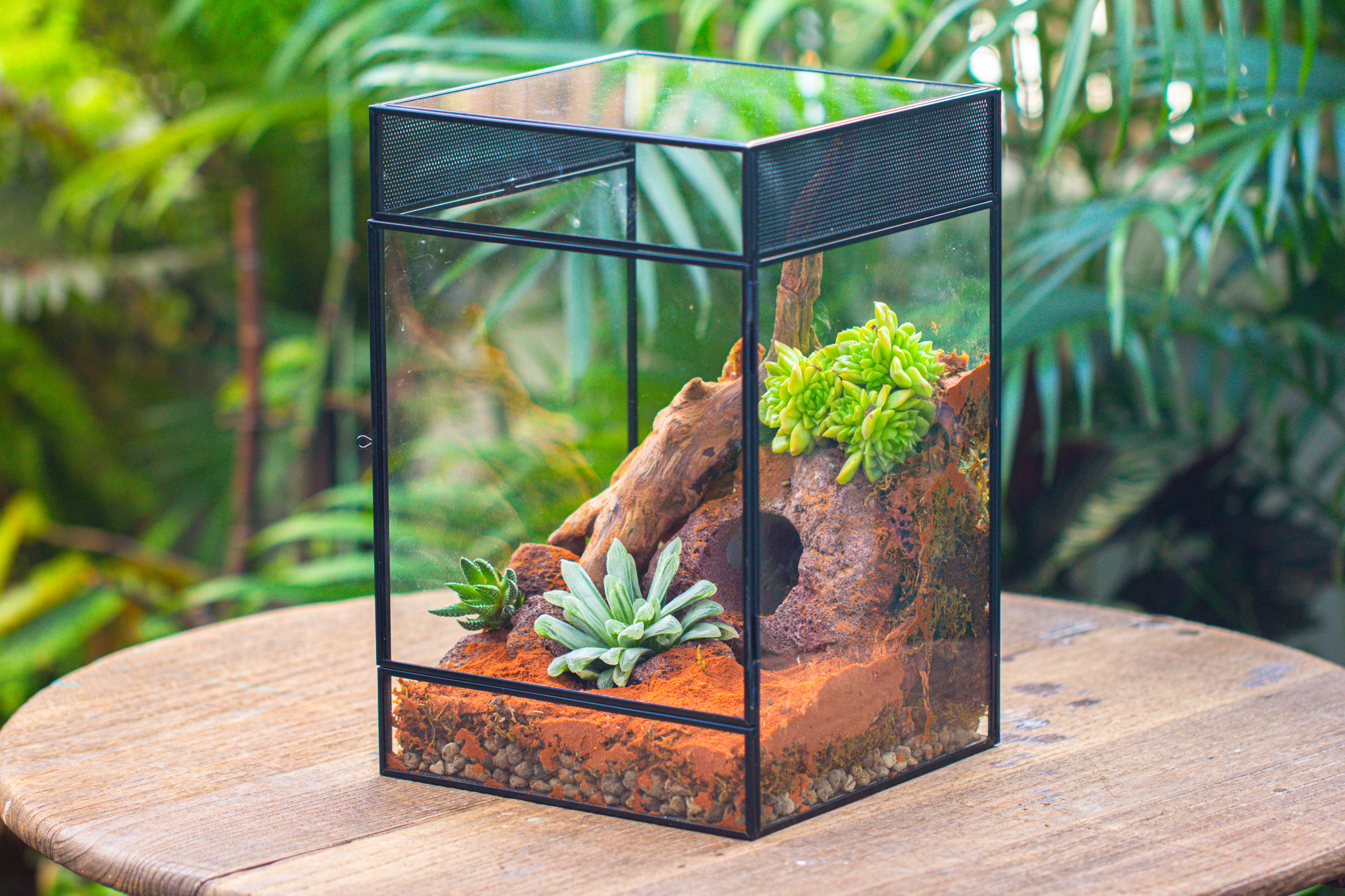8x8x12 inches Large Handmade Glass Geometric Terrarium with Side Vent, for large insects - NCYPgarden