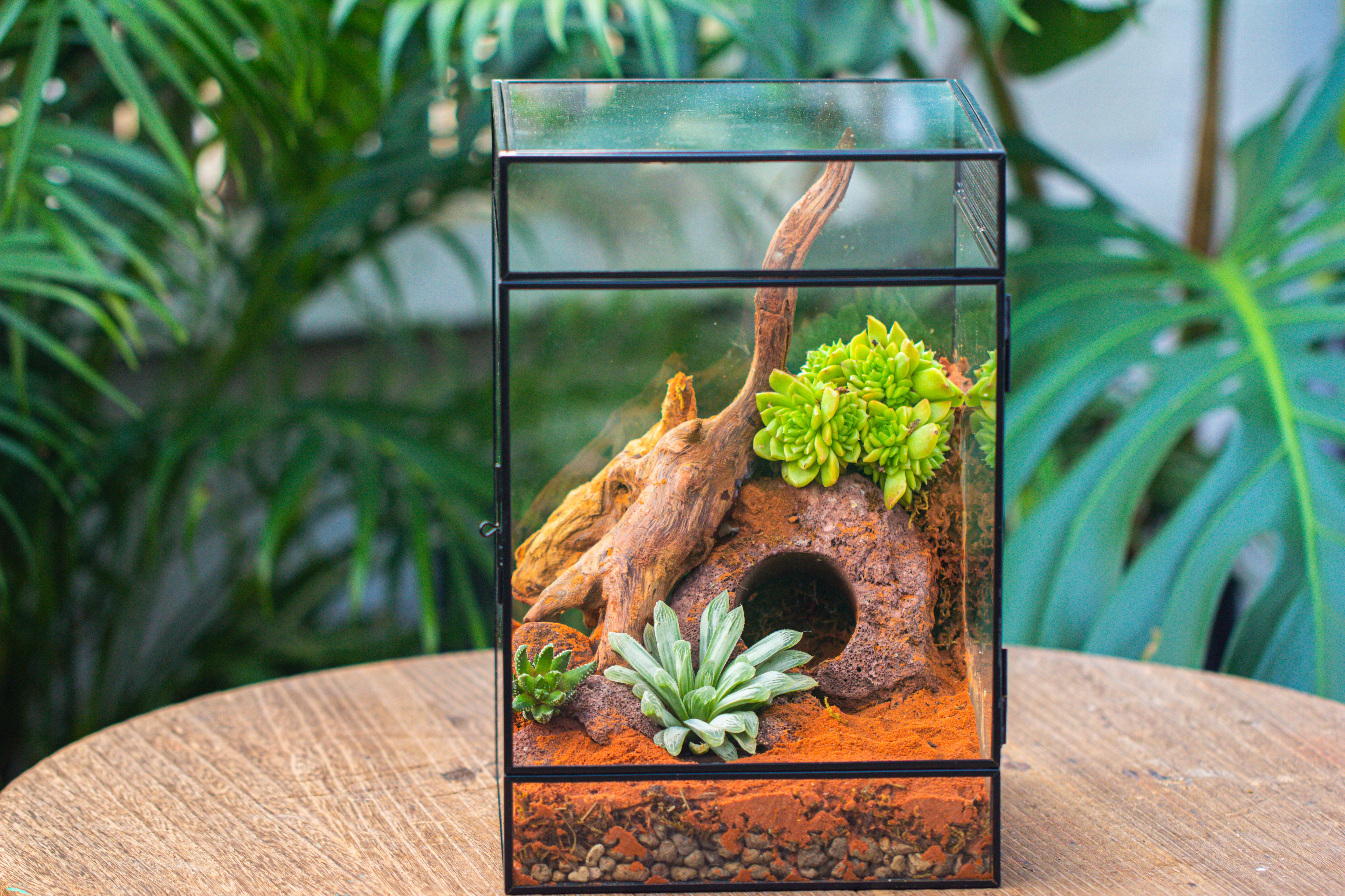 8x8x12 inches Large Handmade Glass Geometric Terrarium with Side Vent, for large insects - NCYPgarden
