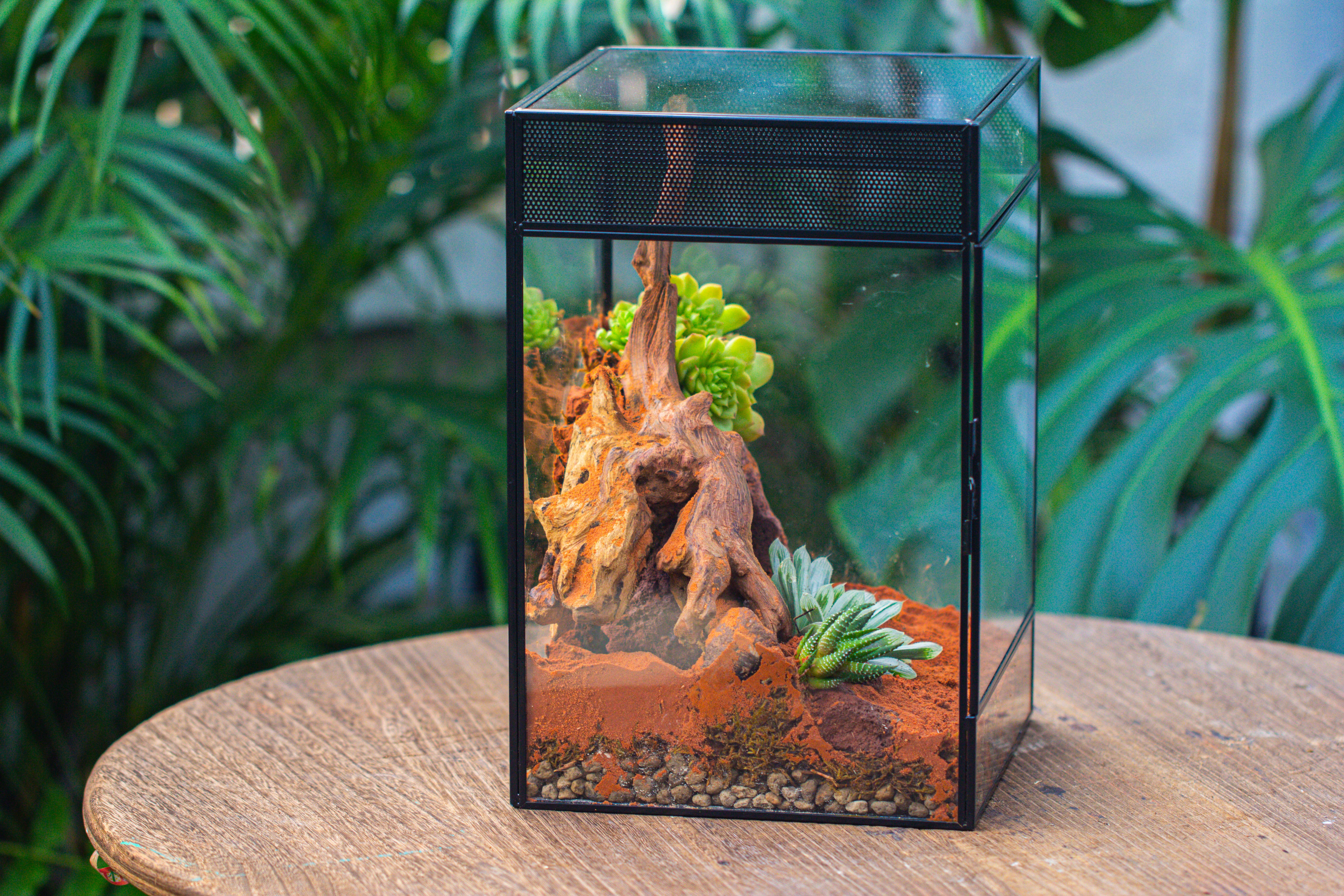8x8x12 inches Large Handmade Glass Geometric Terrarium with Side Vent, for large insects - NCYPgarden